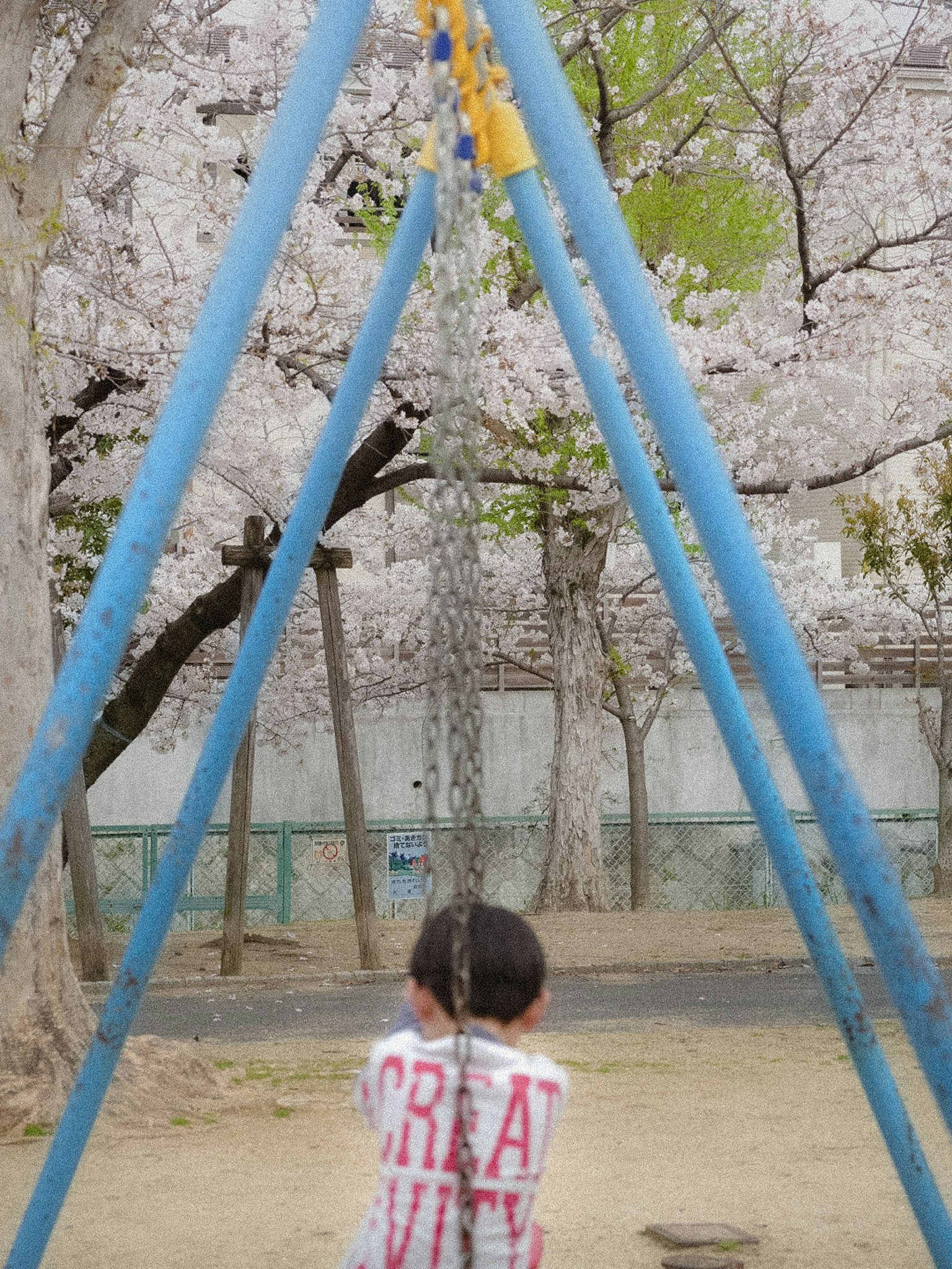 Enfant sur une balançoire bleue dans un parc avec des cerisiers en fleurs