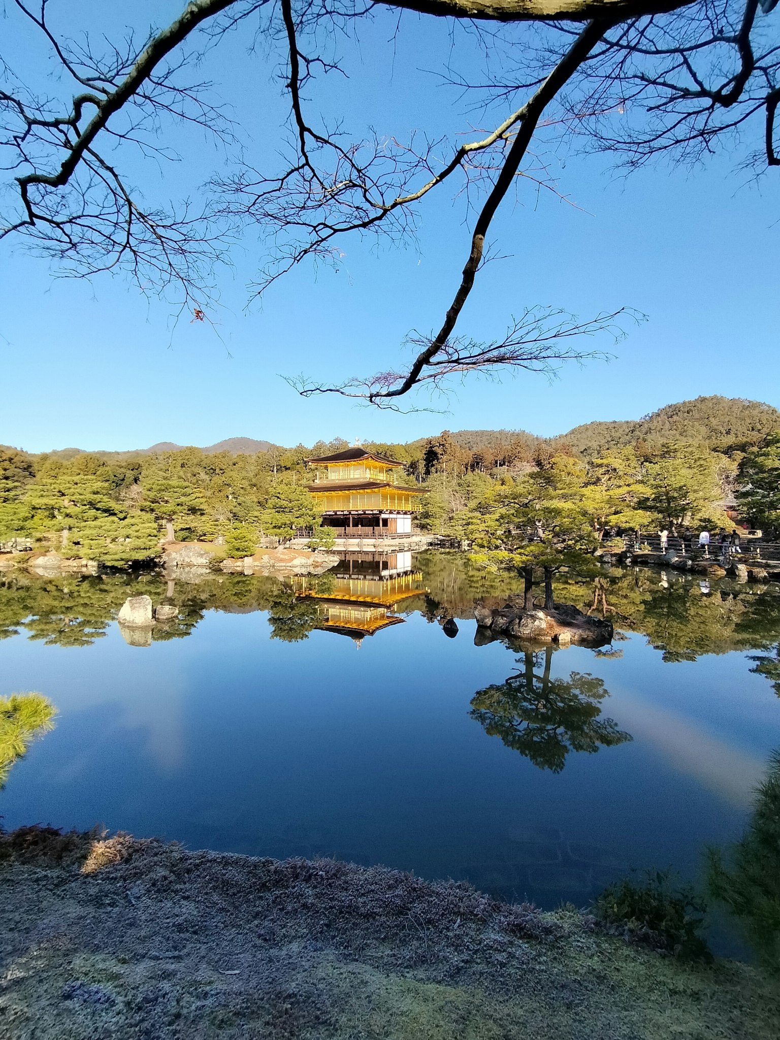 Vista panoramica del Kinkaku-ji circondato da uno stagno tranquillo e da una vegetazione lussureggiante sotto un cielo blu chiaro