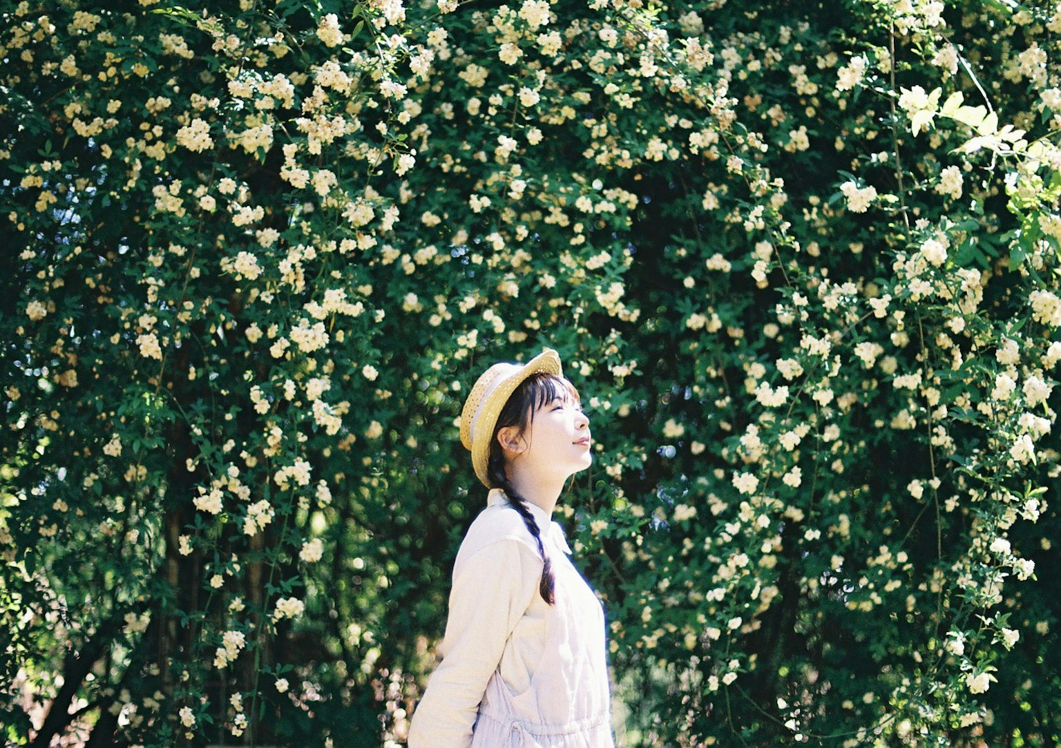 A woman surrounded by flowers looking up at the sky