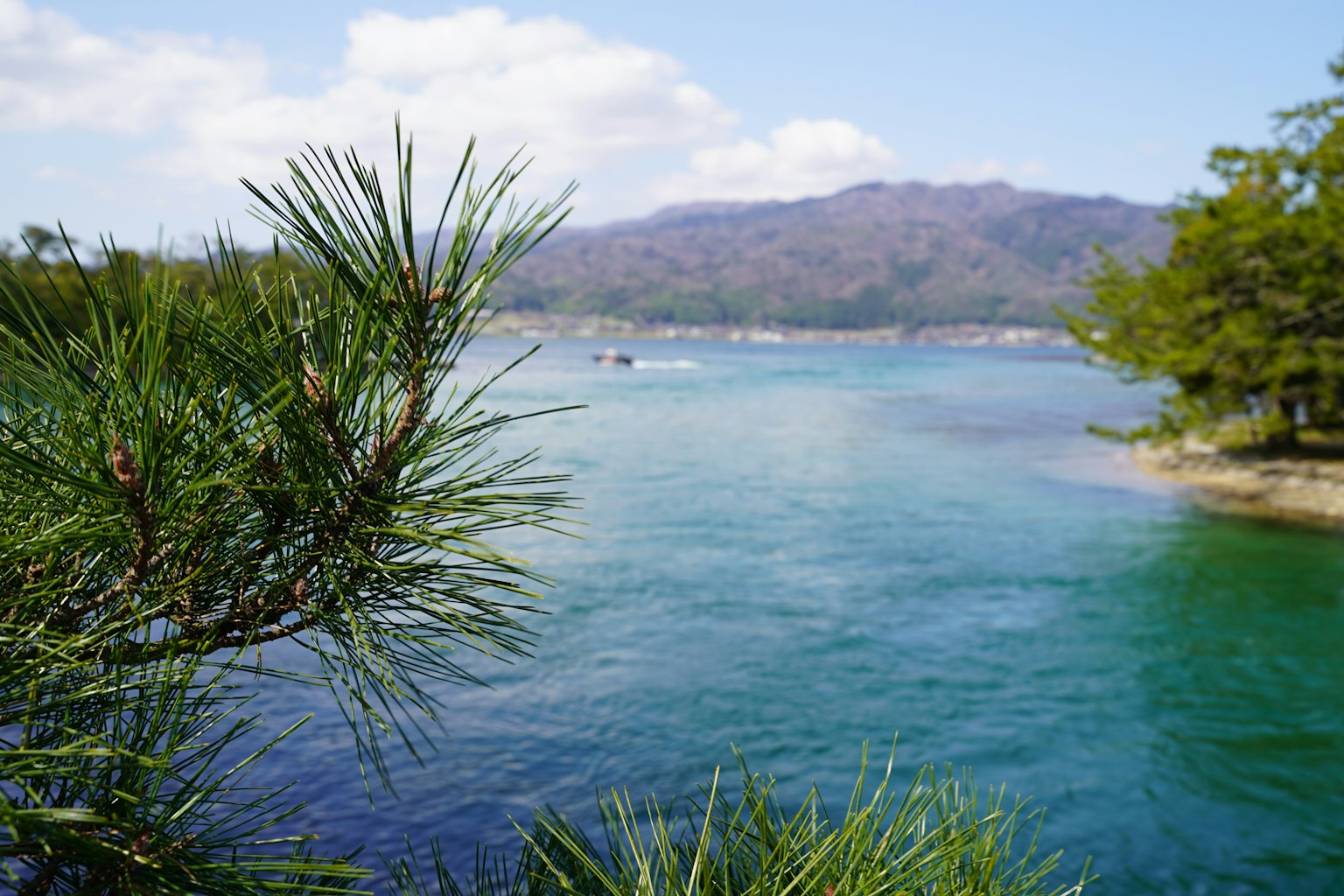風景如畫的河流景觀藍色水域和背景山脈前景有綠色植物