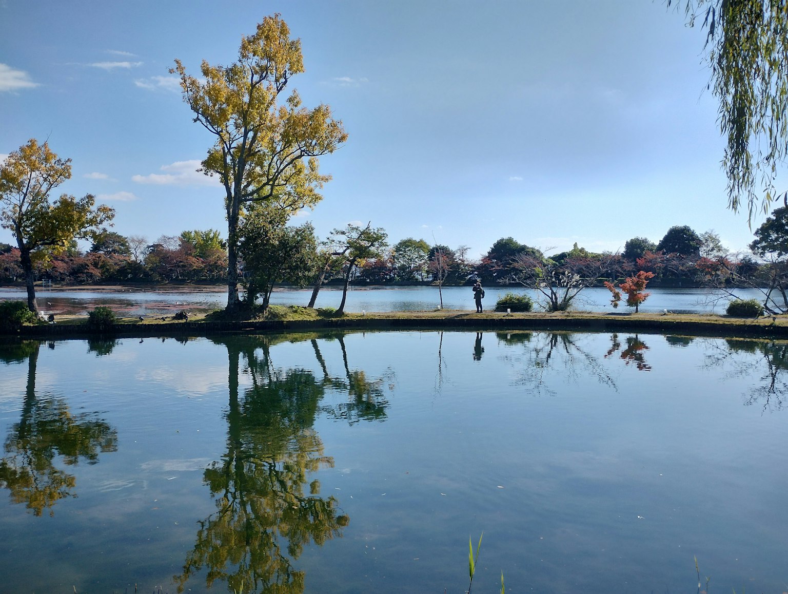 Serene lake landscape with reflecting trees and blue sky