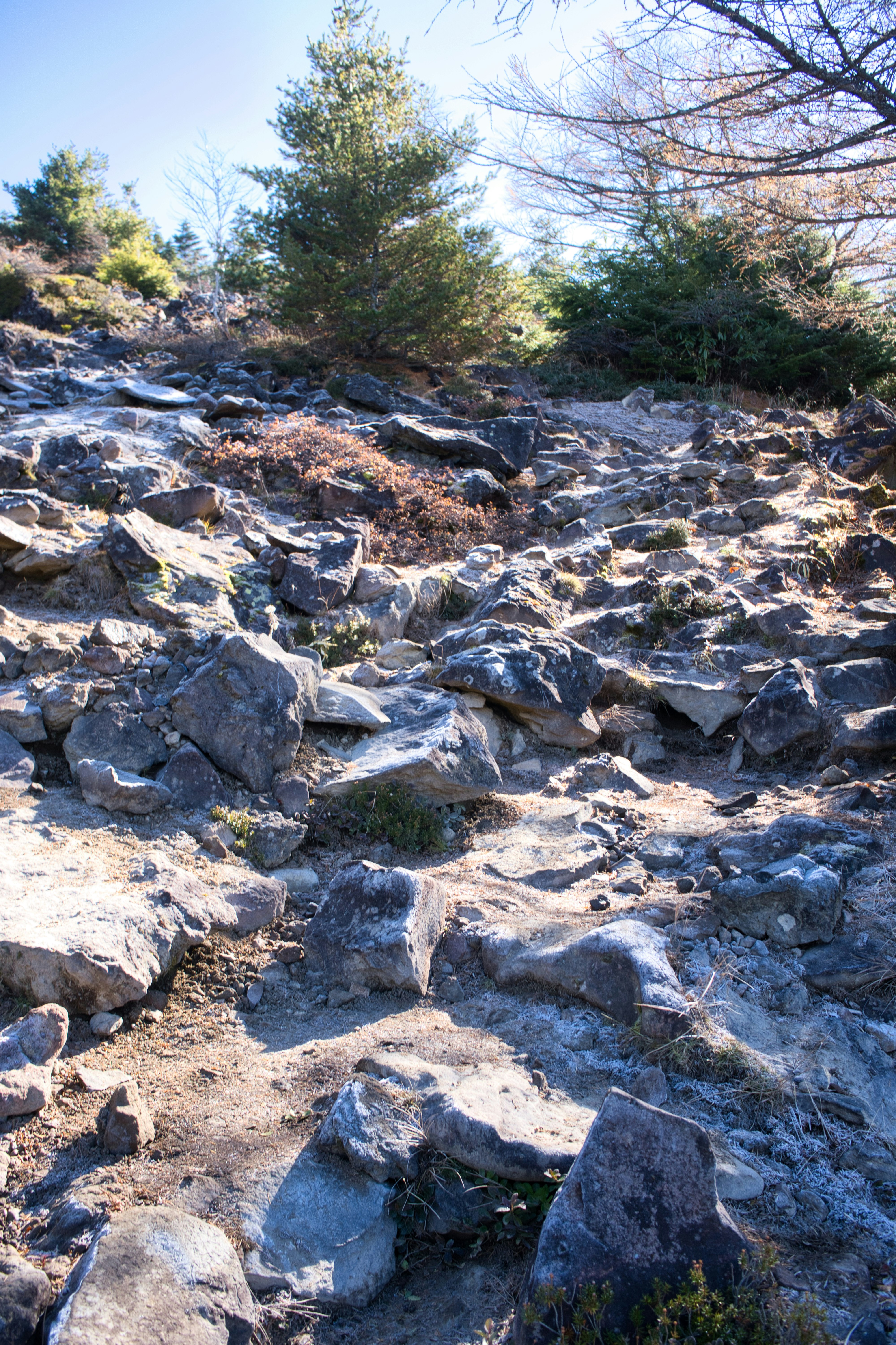 sendero rocoso en una ladera natural