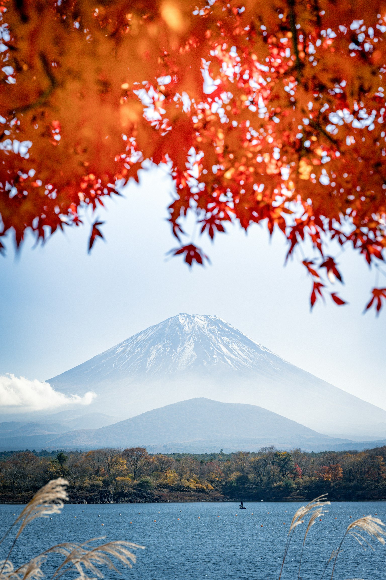 美しい紅葉の葉の間から見える富士山の風景