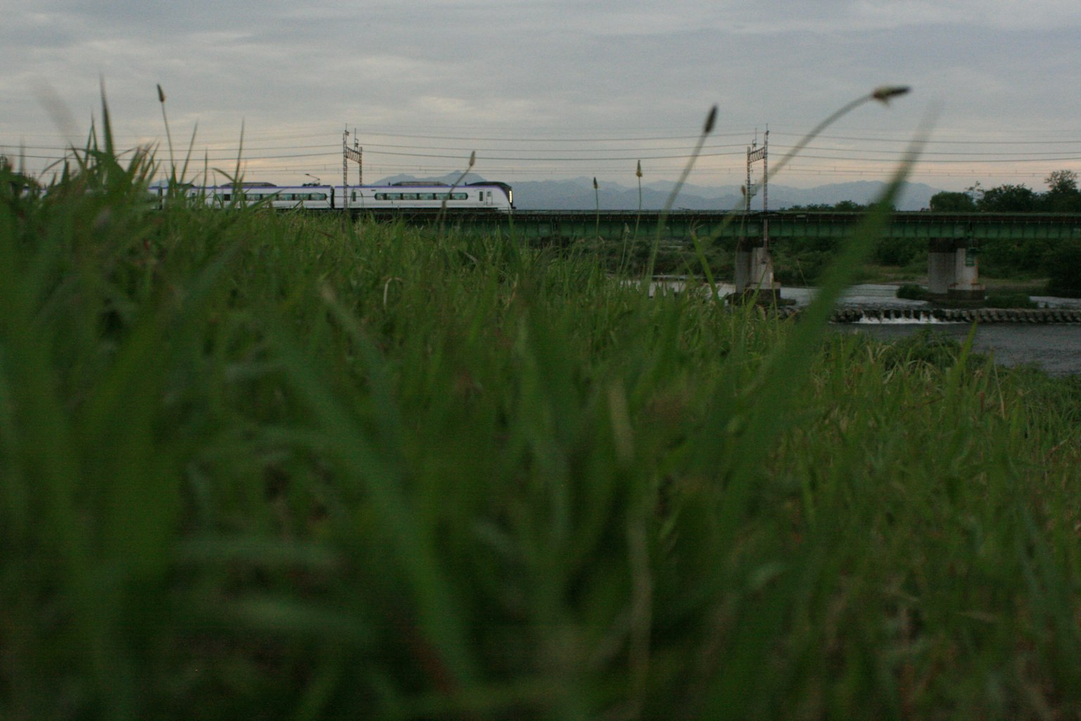 Pemandangan kereta melalui rumput langit mendung dan pegunungan jauh