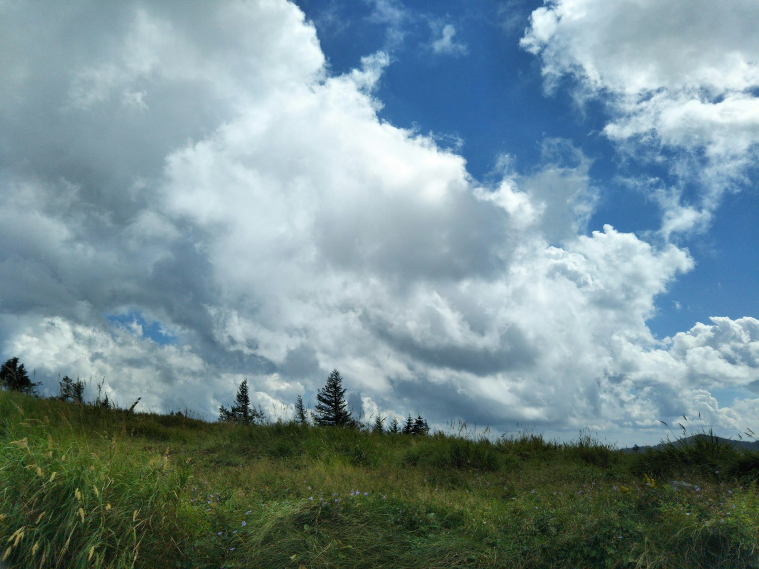Paisaje con cielo azul, nubes blancas y hierba verde