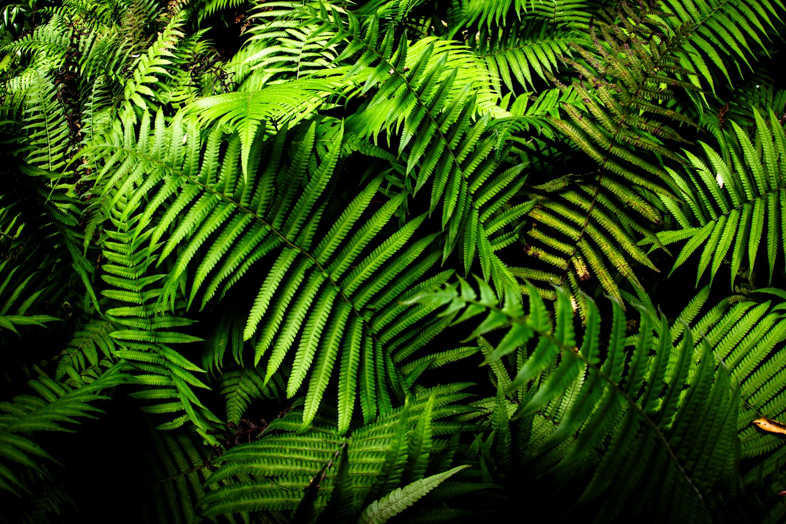 photo-hKxpjrZAOZ4MObbCZti8-image