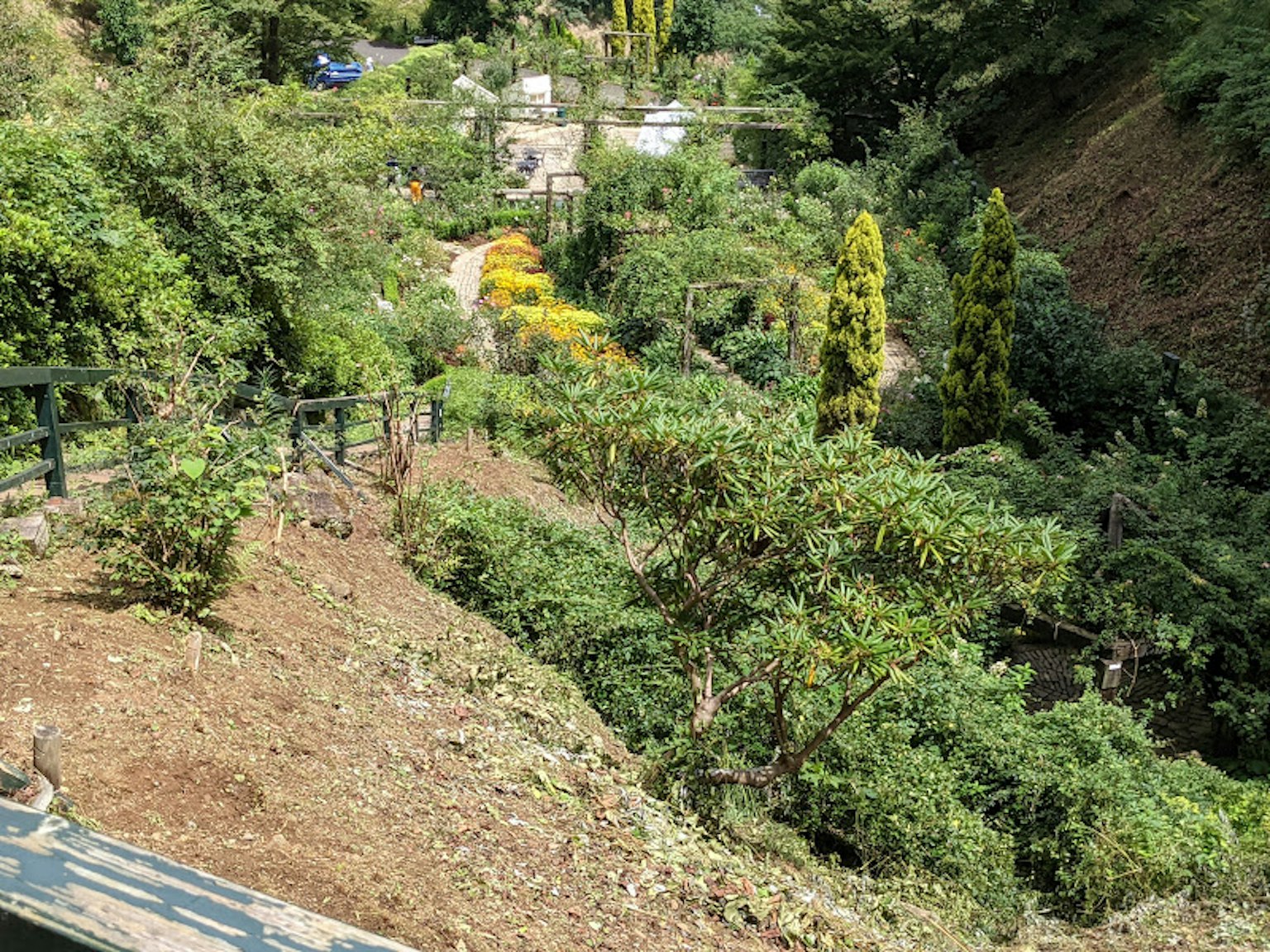 Paesaggio di giardino lussureggiante in una valle con un sentiero tortuoso