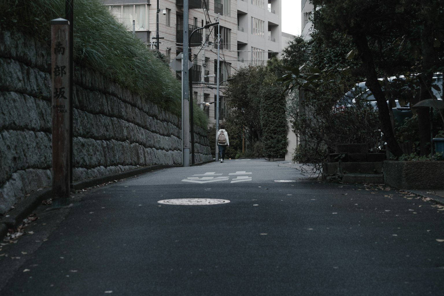 Una persona caminando por una calle tranquila rodeada de vegetación
