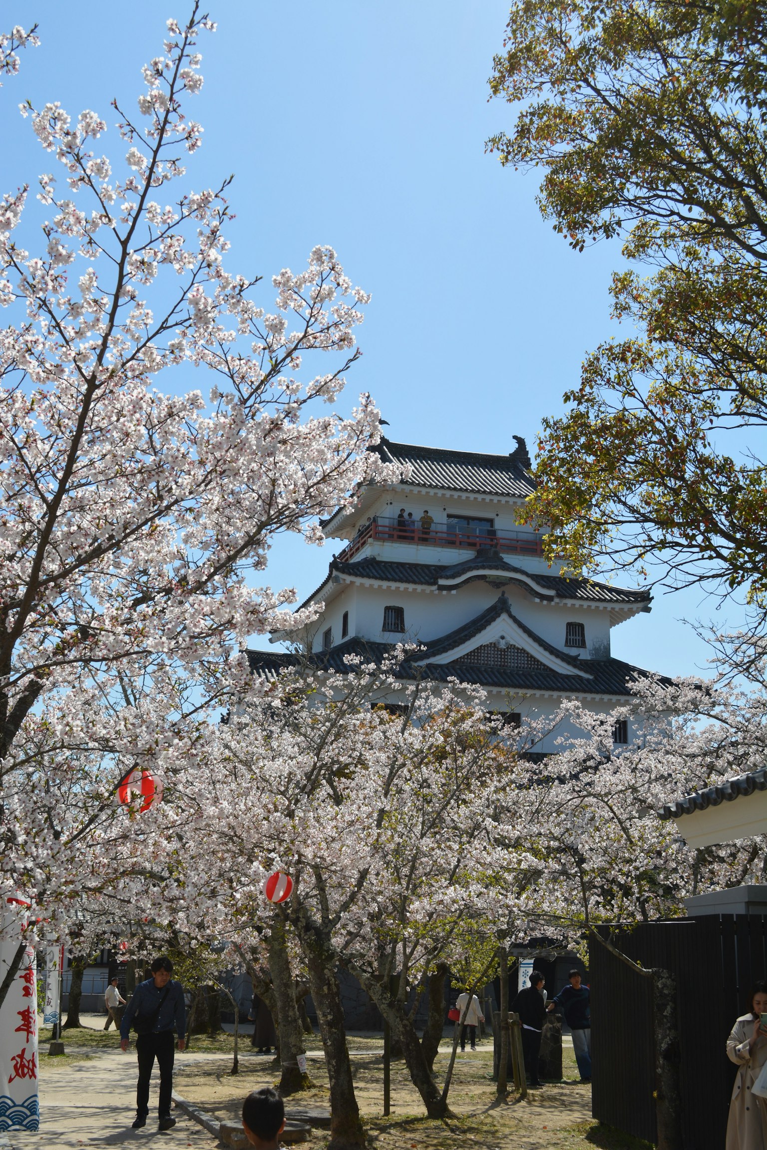 벚꽃 나무 사이에 보이는 성의 풍경
