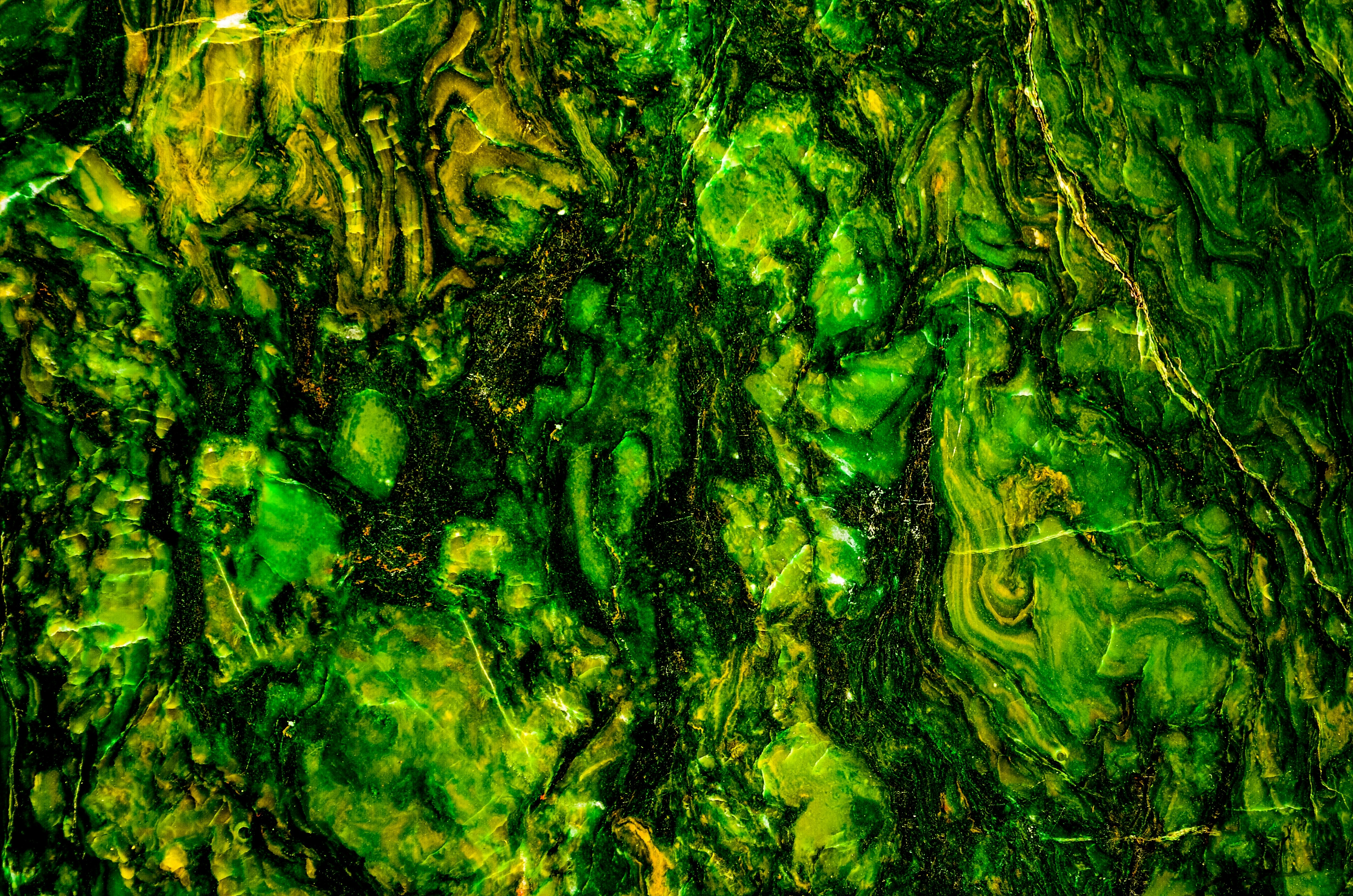 fond abstrait à texture organique de mousse et de feuilles vertes
