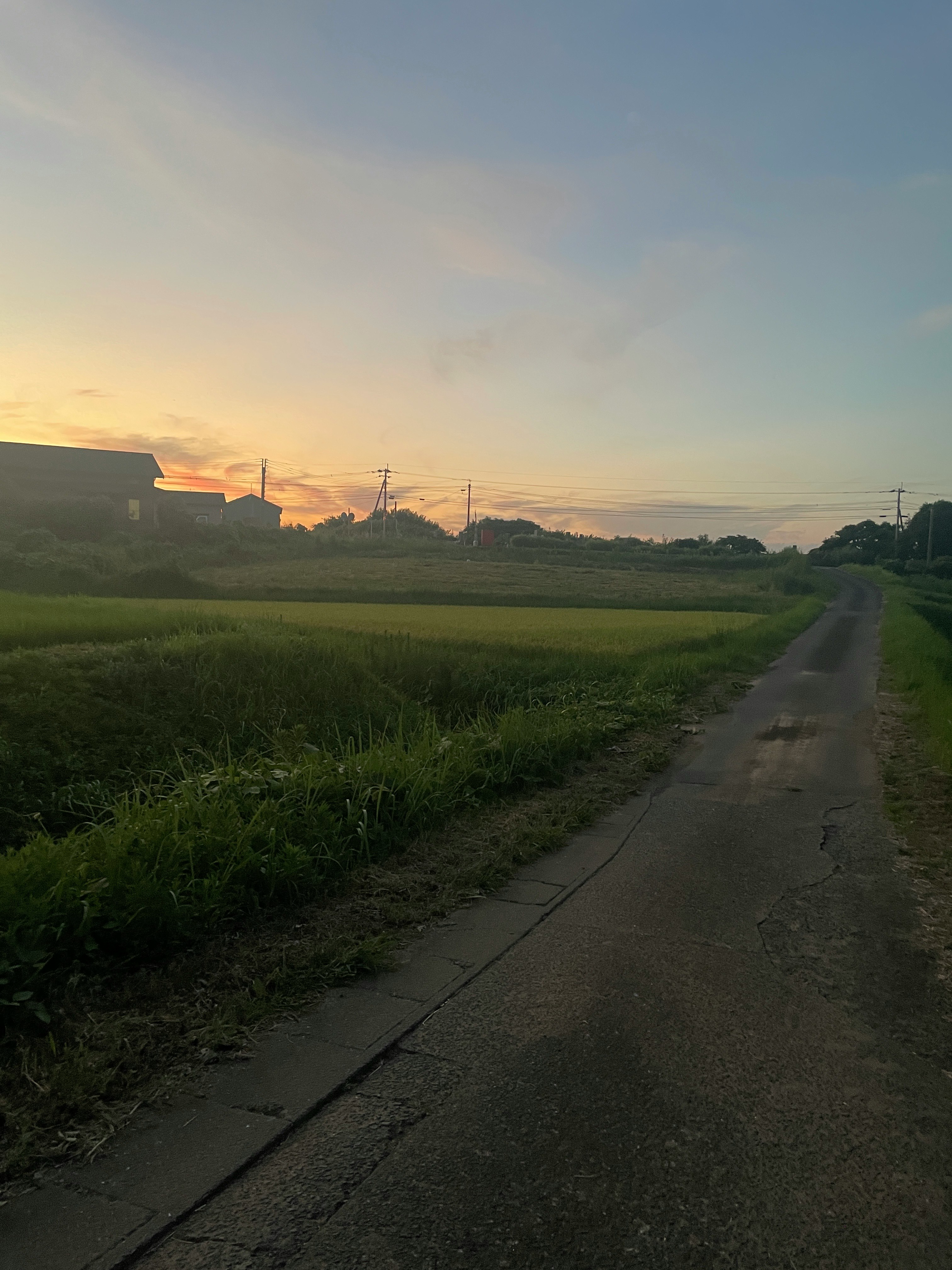 夕暮れのあぜ道を見下ろす田園風景