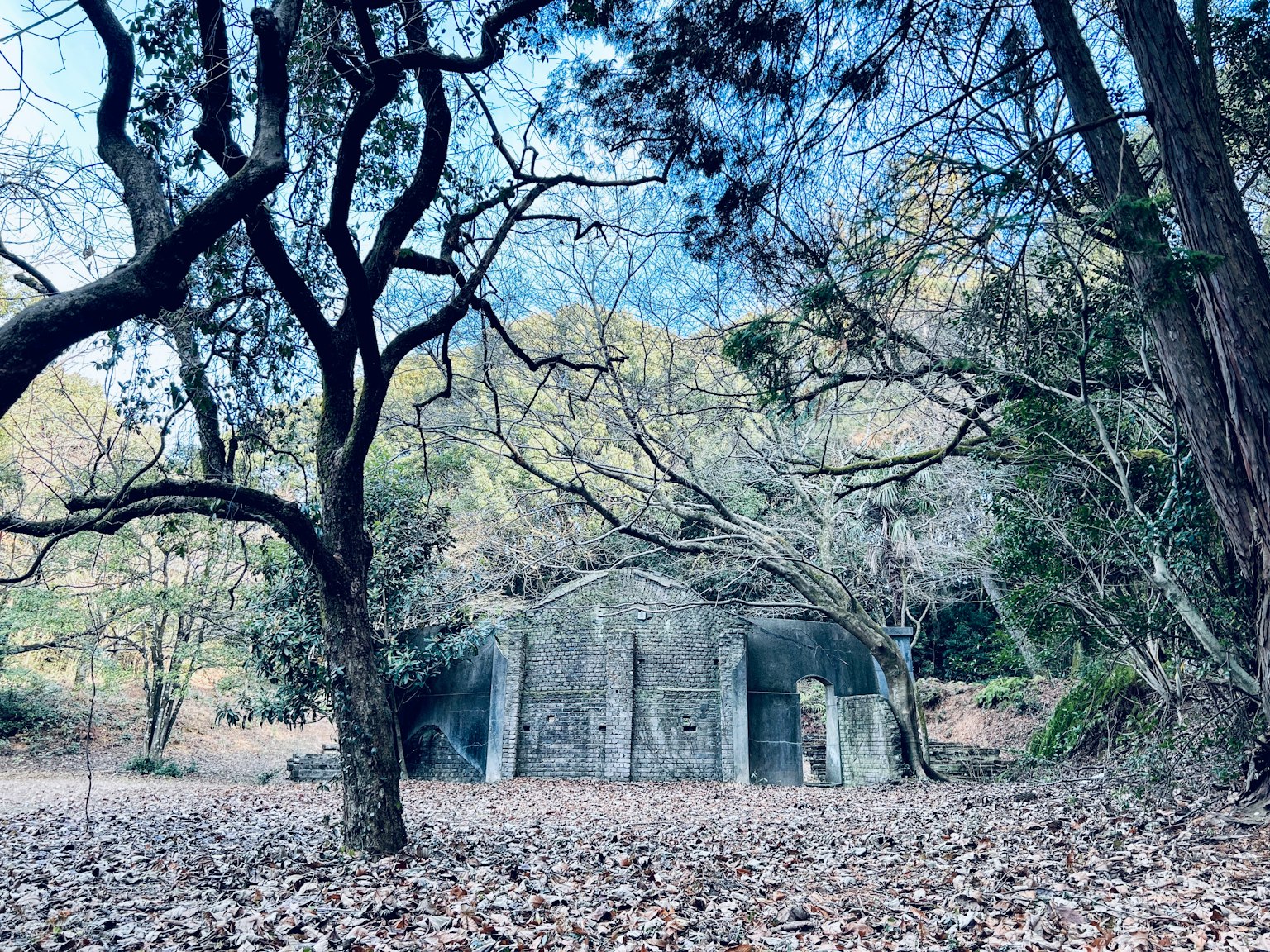 Une vieille structure en béton dans une forêt avec des feuilles tombées