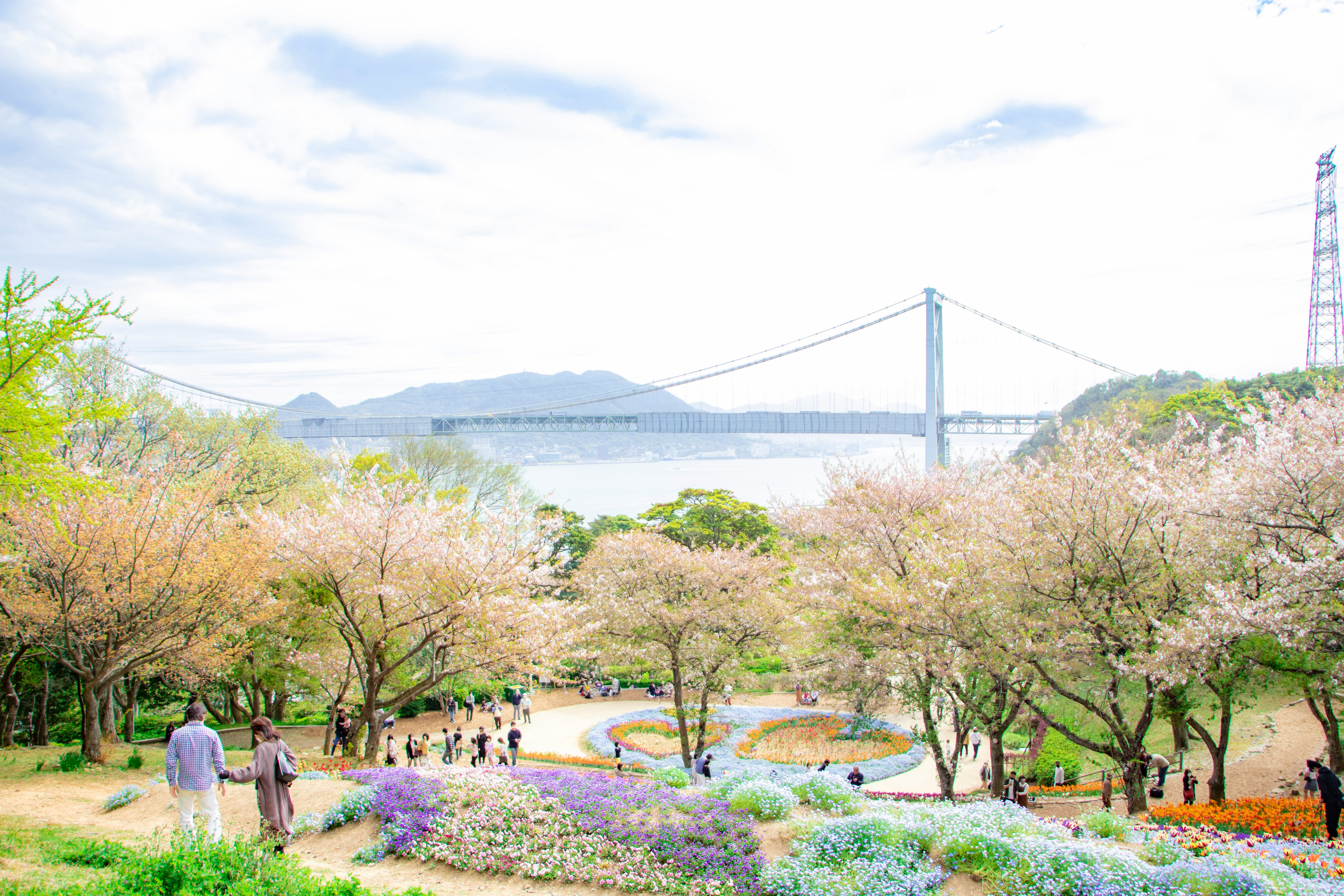 火の山公園の桜並木と関門橋が見える花祭りの風景