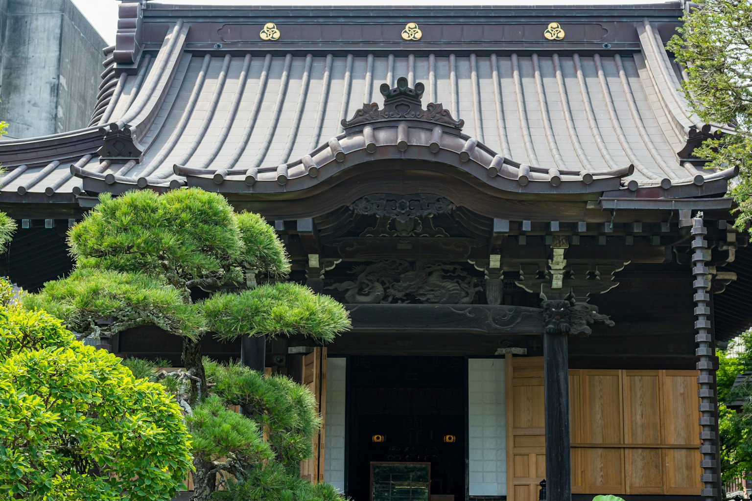 Bangunan tradisional Jepang dengan atap hitam dan taman pinus yang indah