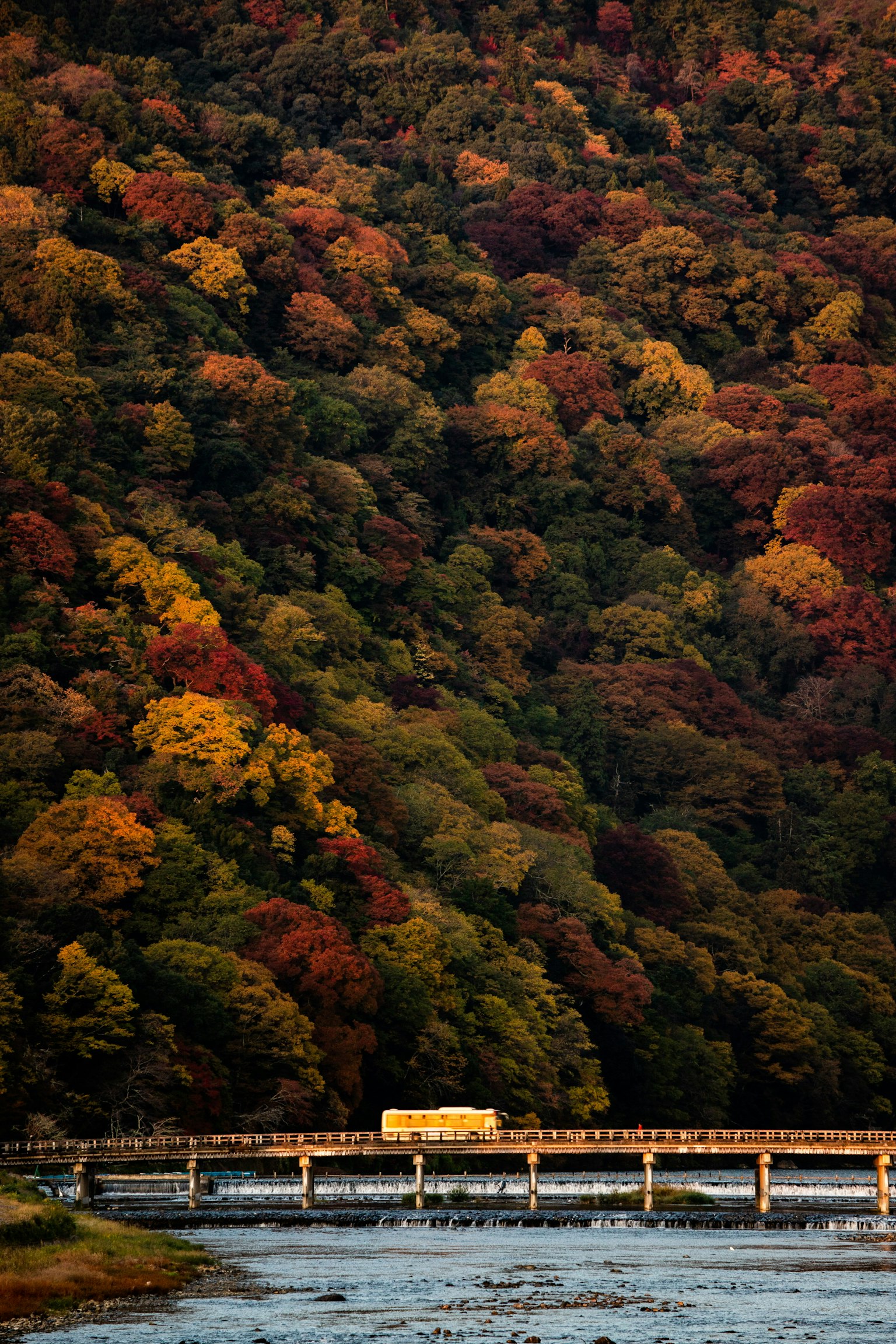 Un pont ferroviaire entouré de feuillage d'automne vibrant et d'une rivière