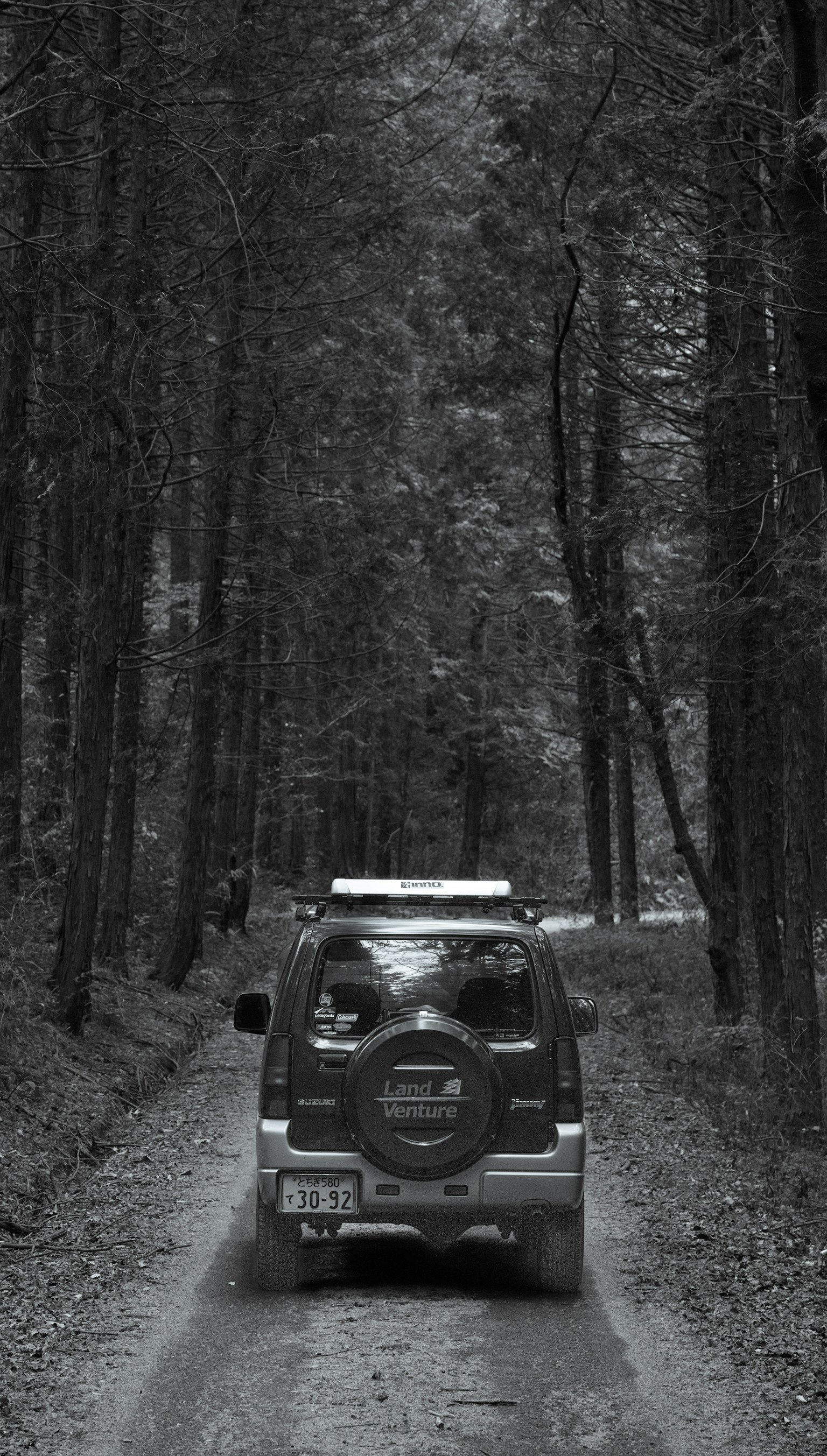 Photo en noir et blanc d'une voiture traversant une forêt