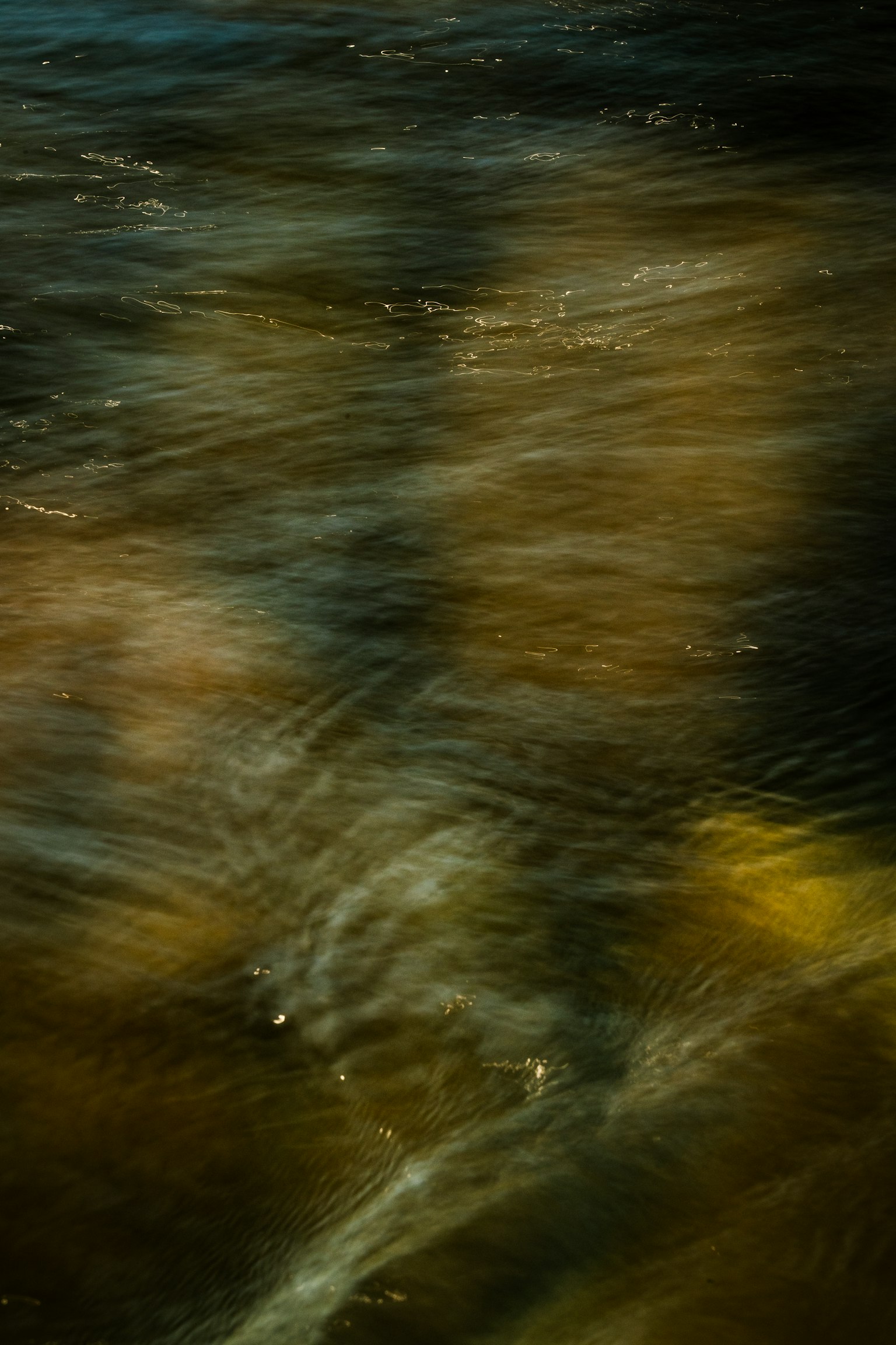 photo-hOLJpdkYJeVXED2GrDsw-image