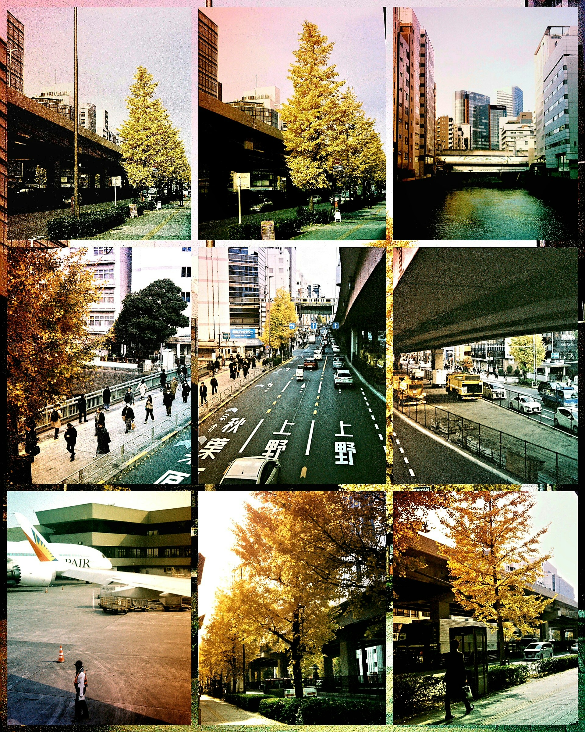 秋の東京の街並みと川沿いの風景