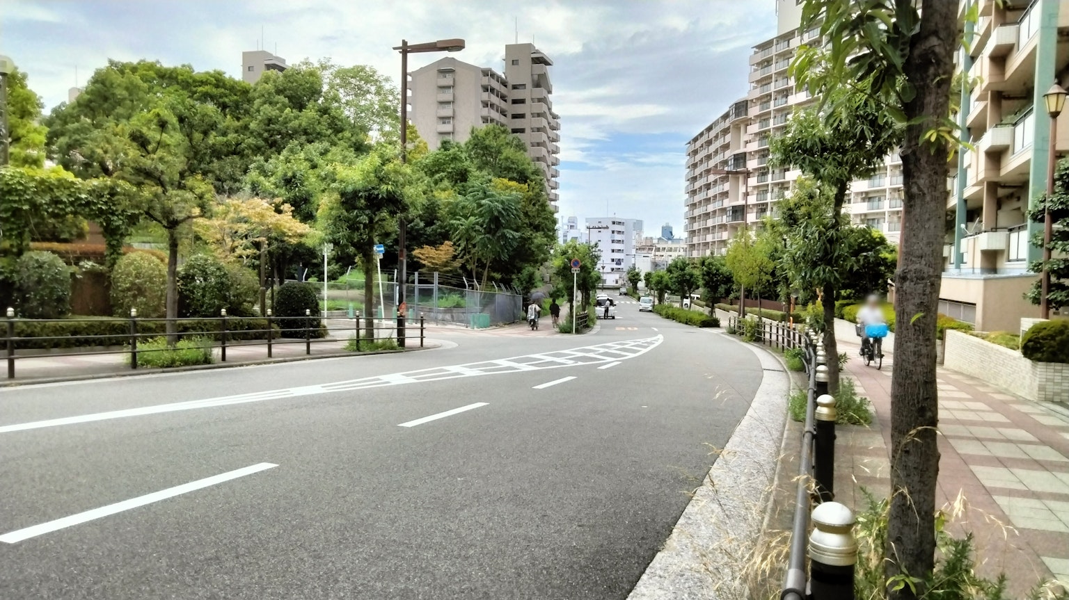 Scenic view of a tree-lined road with residential buildings and a park