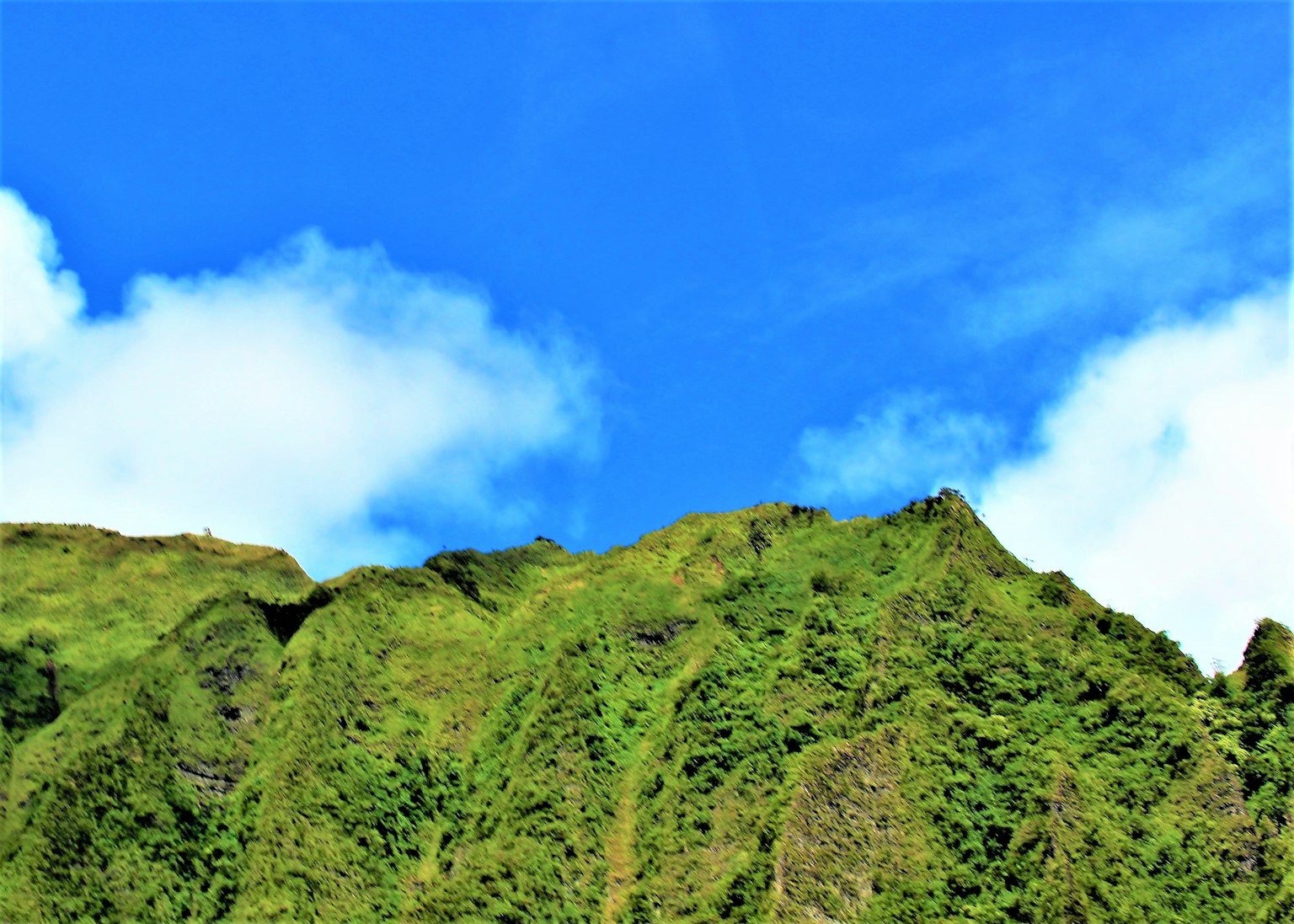 郁郁葱葱的綠色山景與藍天和雲朵相映襯