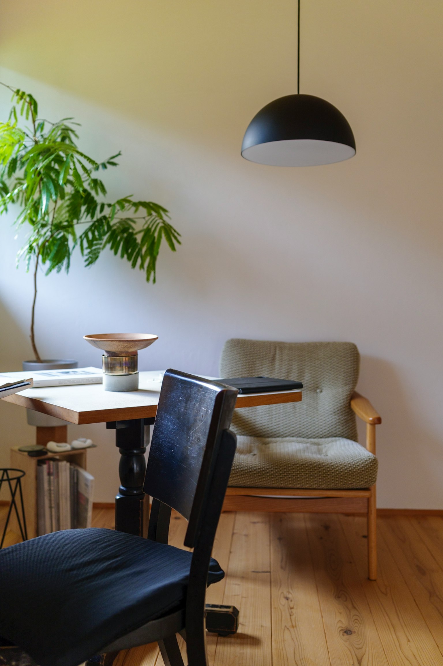 Un interior moderno y simple con una planta y una lámpara negra