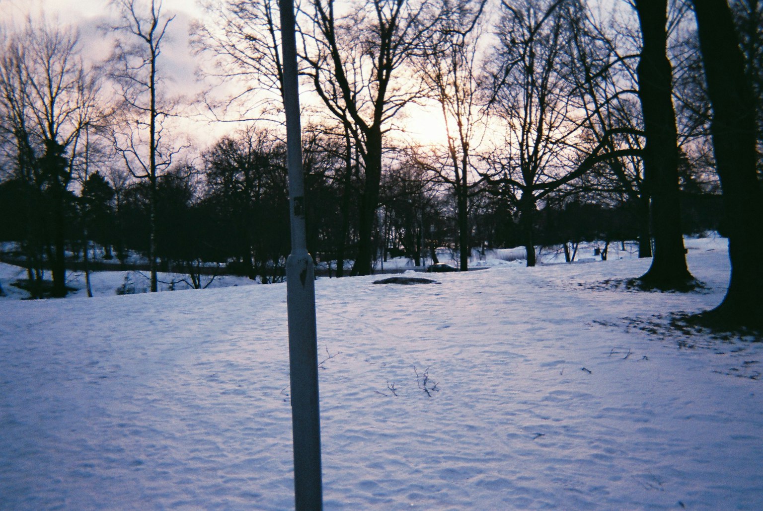 Paysage de parc enneigé avec des arbres et un ciel nuageux