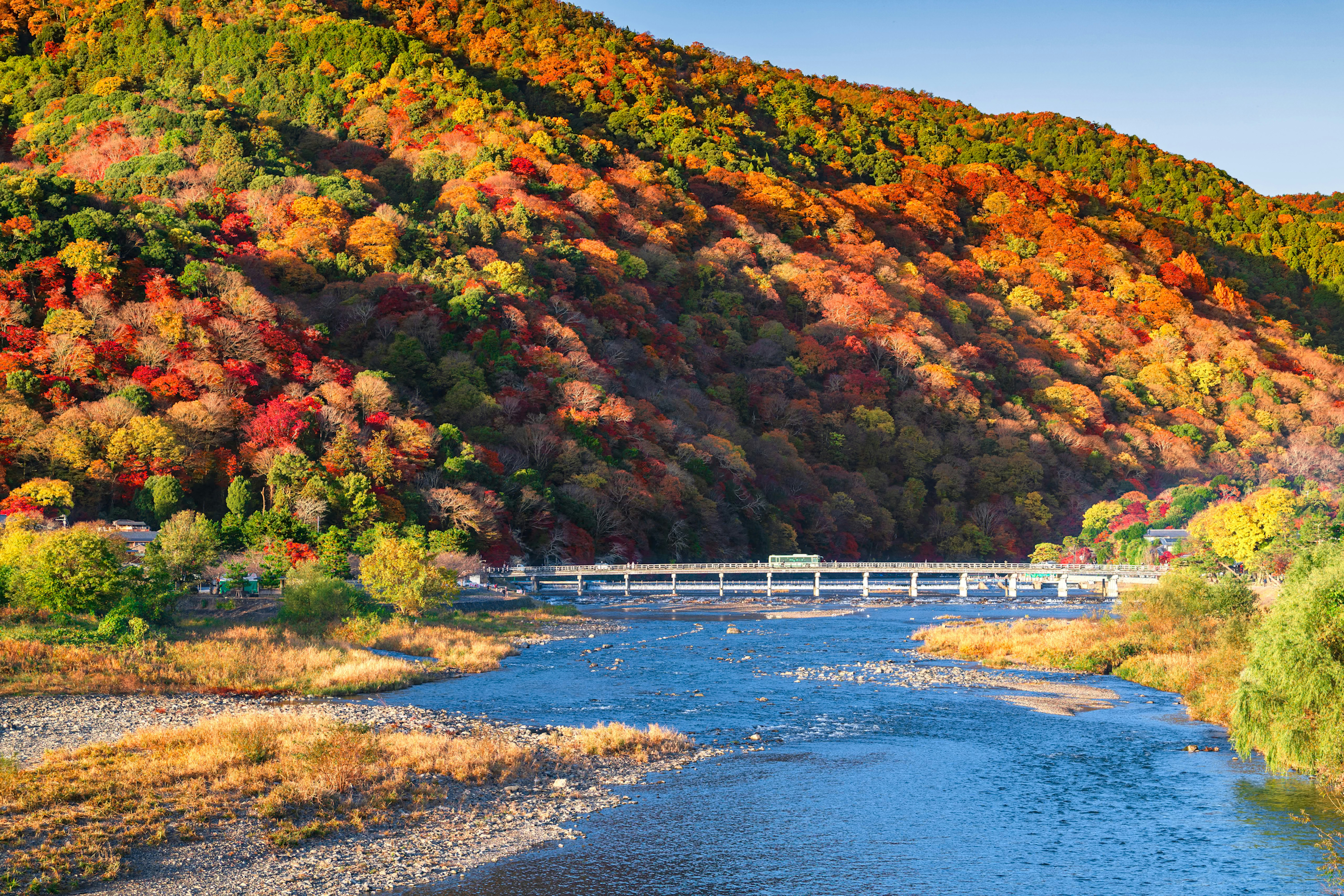 Vista del río con el puente Togetsukyo en Arashiyama y hojas de otoño