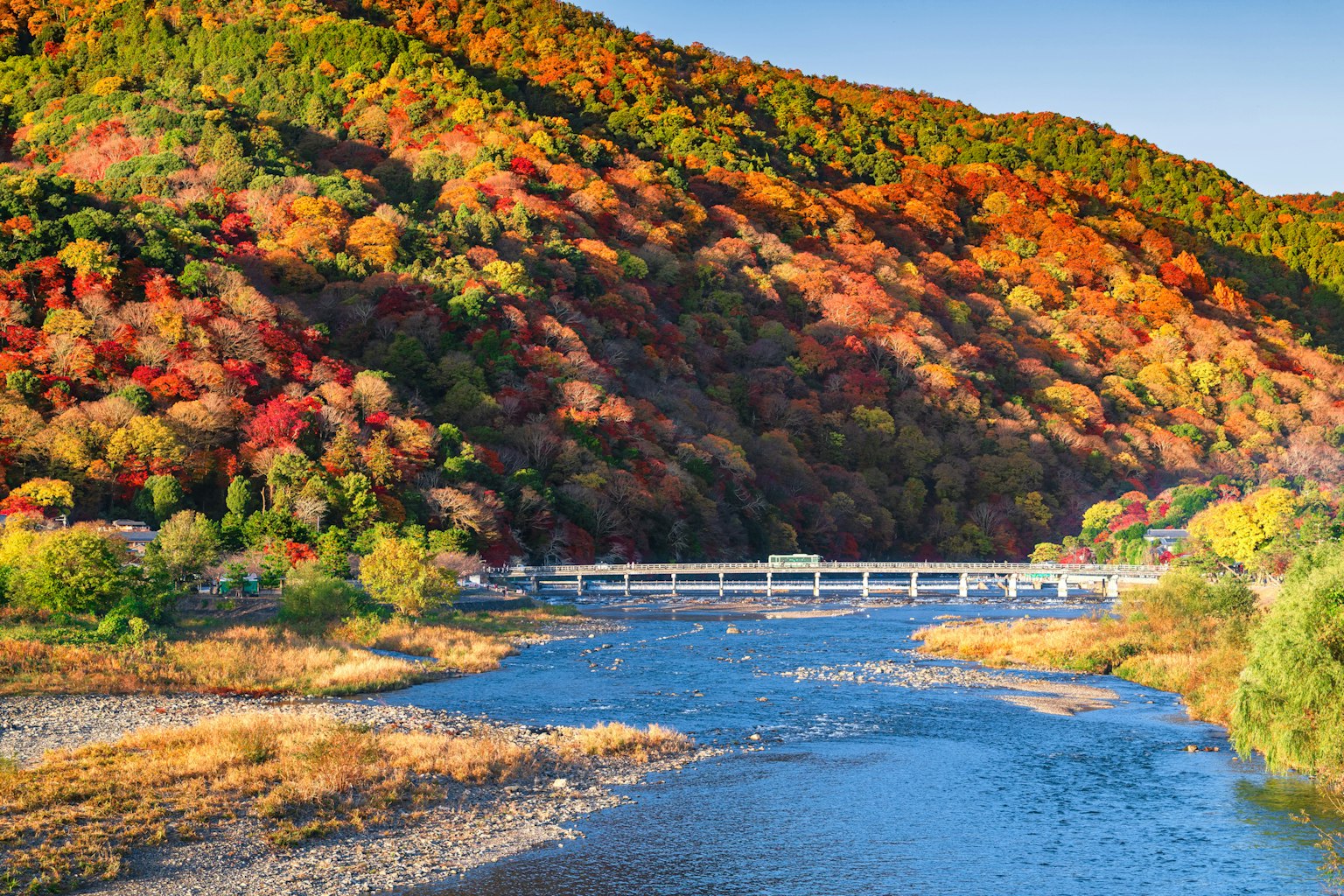 美しい秋の風景 色とりどりの紅葉が広がる山々と川の景色