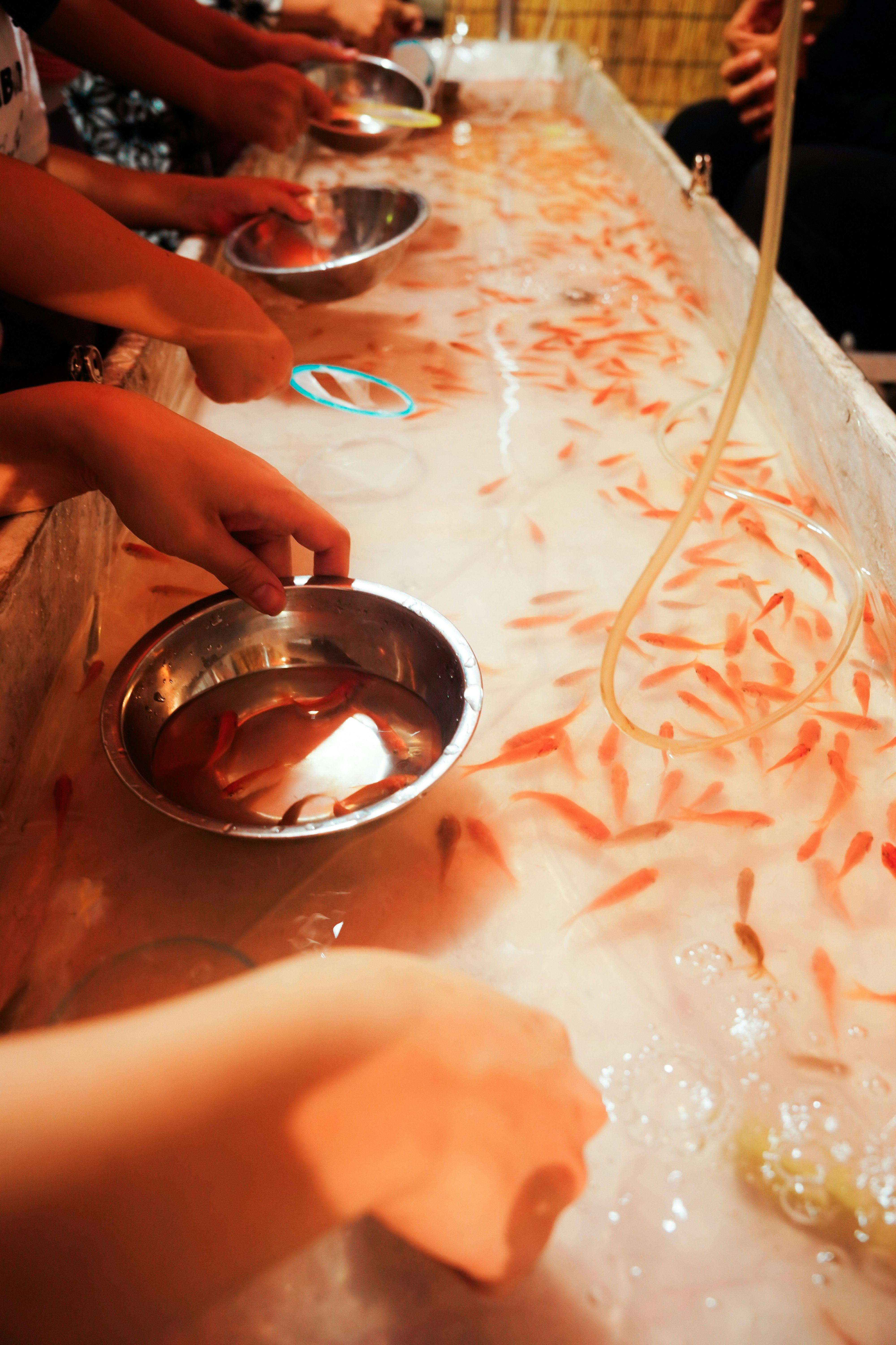 mains allumant des bougies sur une table lors d’une fête
