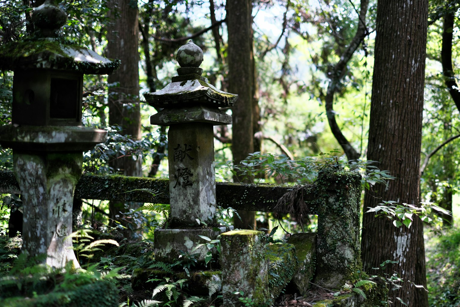 Antorchas de piedra antiguas rodeadas de musgo en un bosque tranquilo