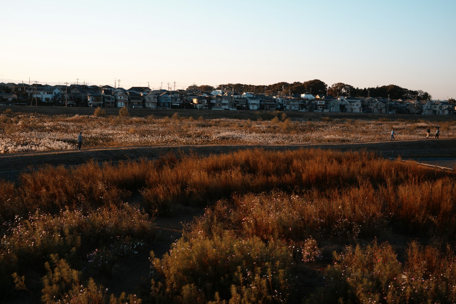 Landschaft eines Wohngebiets umgeben von Grasland sanftes Abendlicht