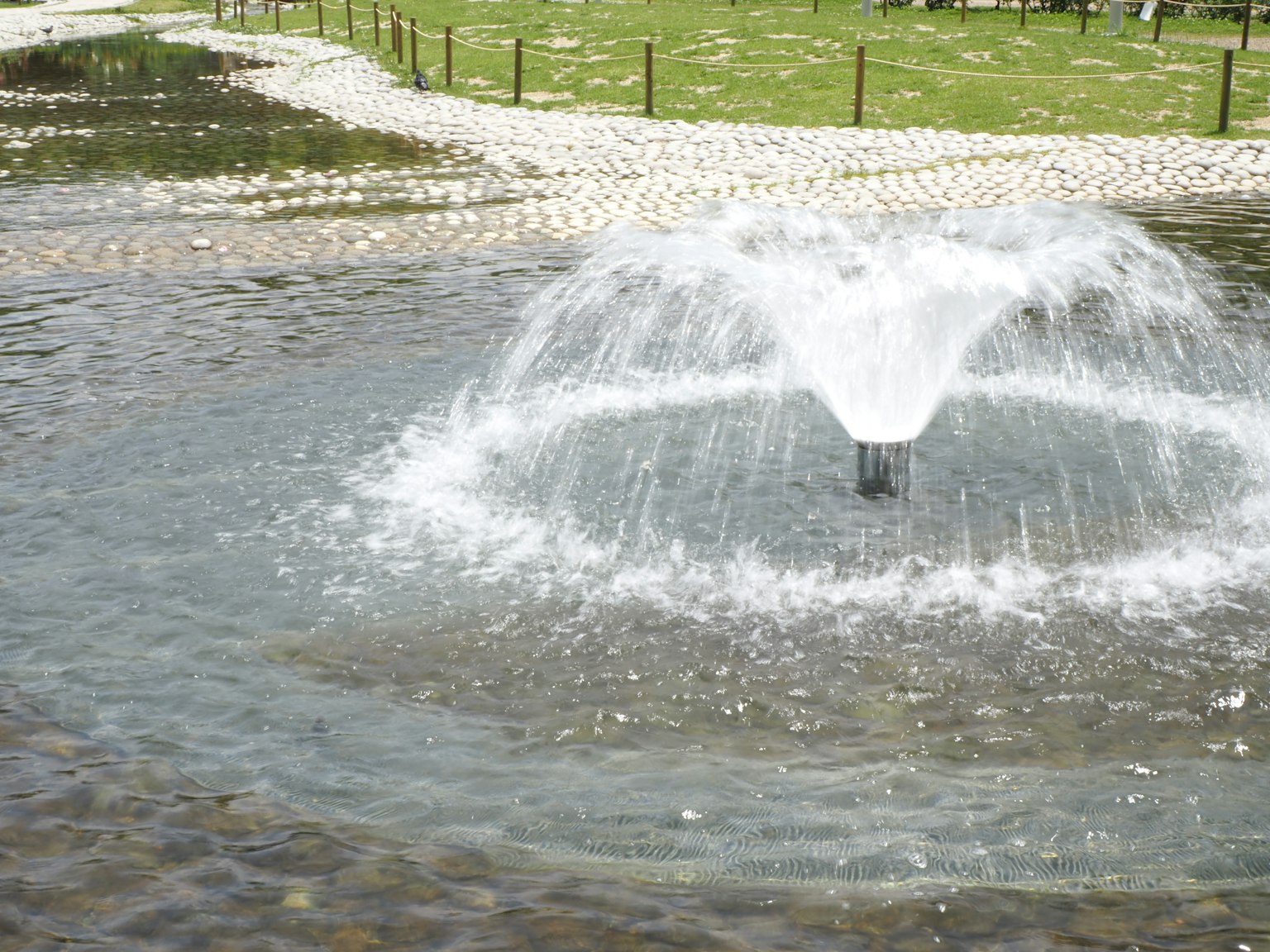Image of a pond with a fountain Central fountain sprays water surrounded by cobblestones and green grass