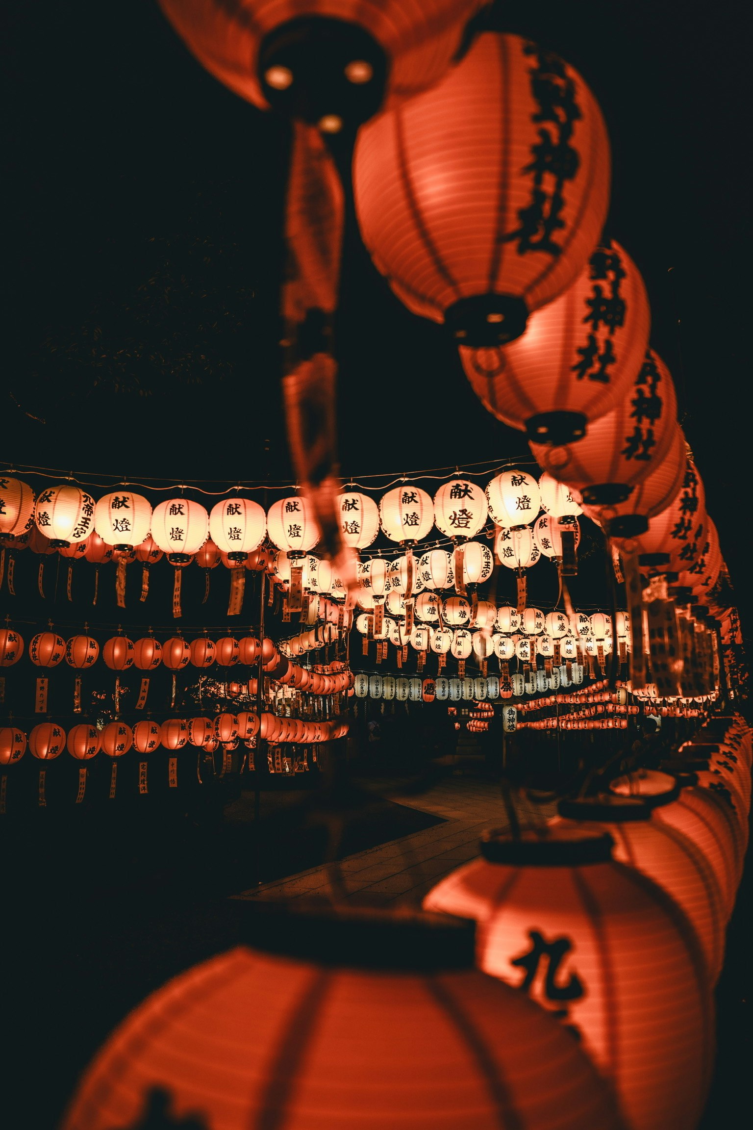 赤い提灯が並ぶ夜の風景で光が反射している