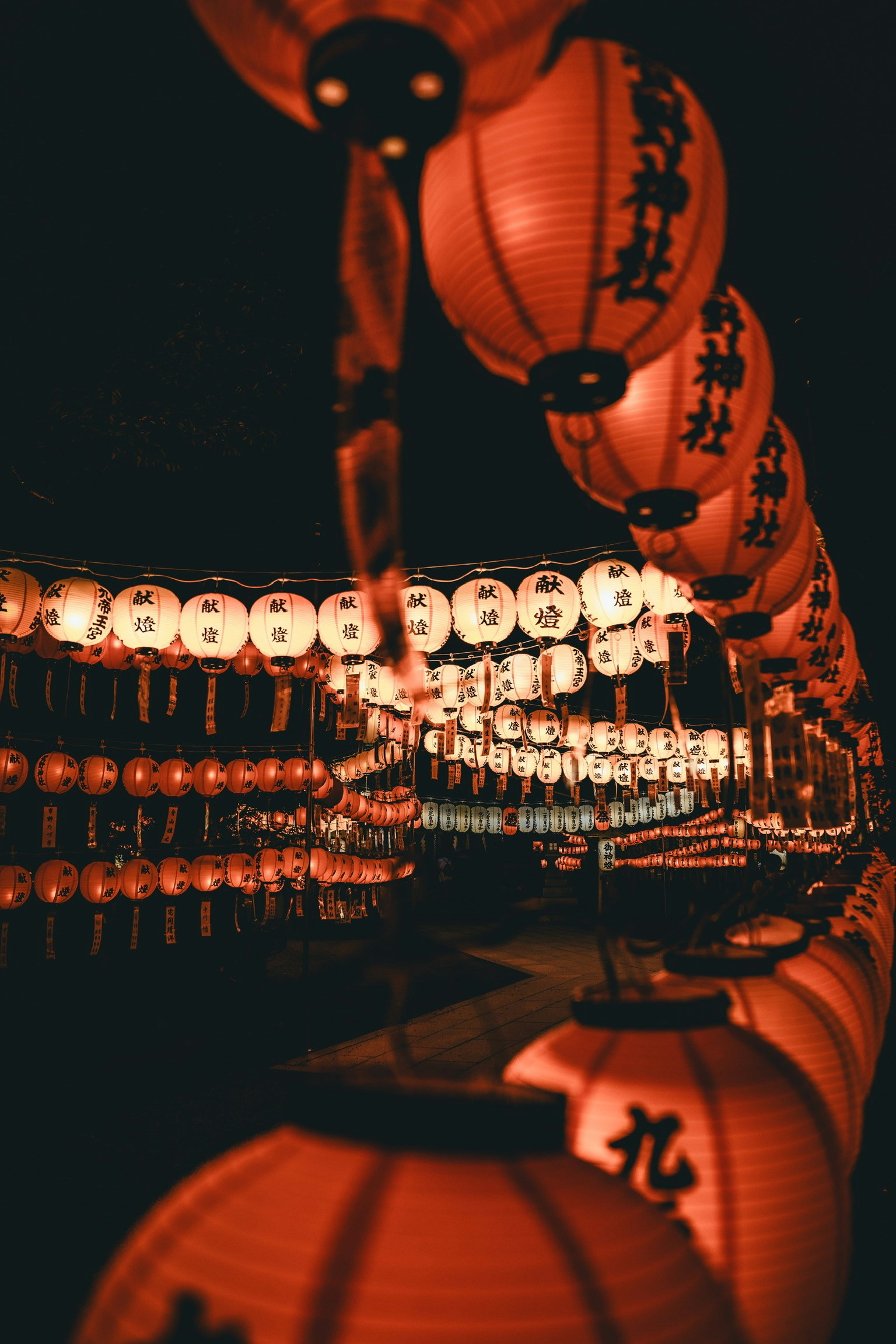 Pemandangan malam dengan lentera merah menciptakan suasana bercahaya