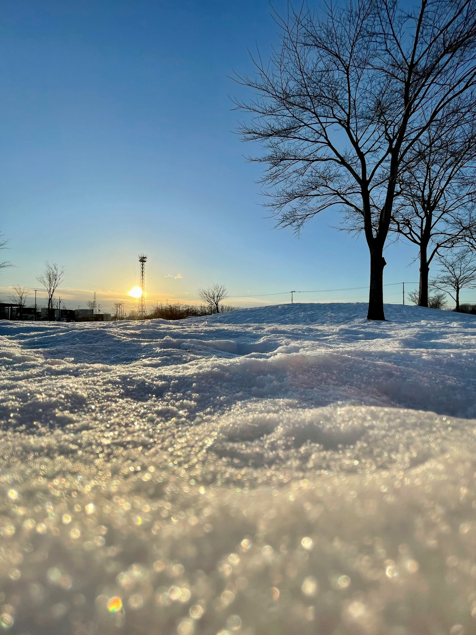 Glitzernde Schneekristalle mit Baum-Silhouetten und einem schönen Sonnenuntergang in einer Winterlandschaft
