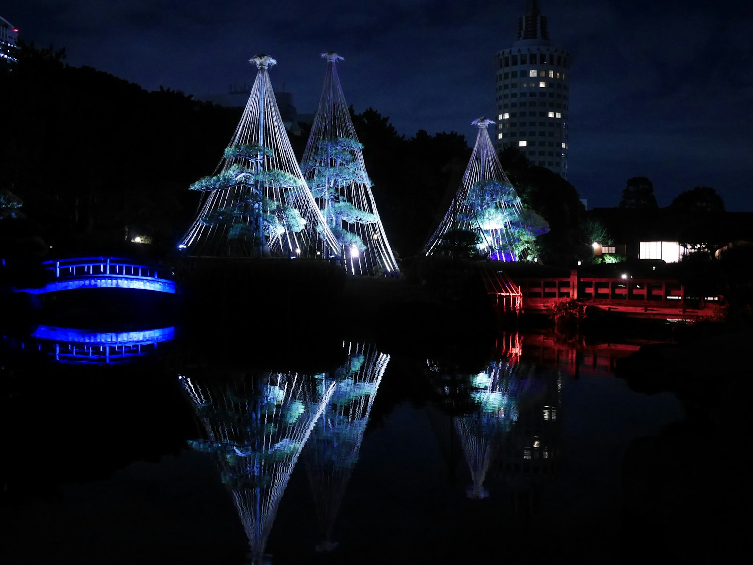Scène nocturne avec des décorations lumineuses en forme d'arbres de Noël dans un parc