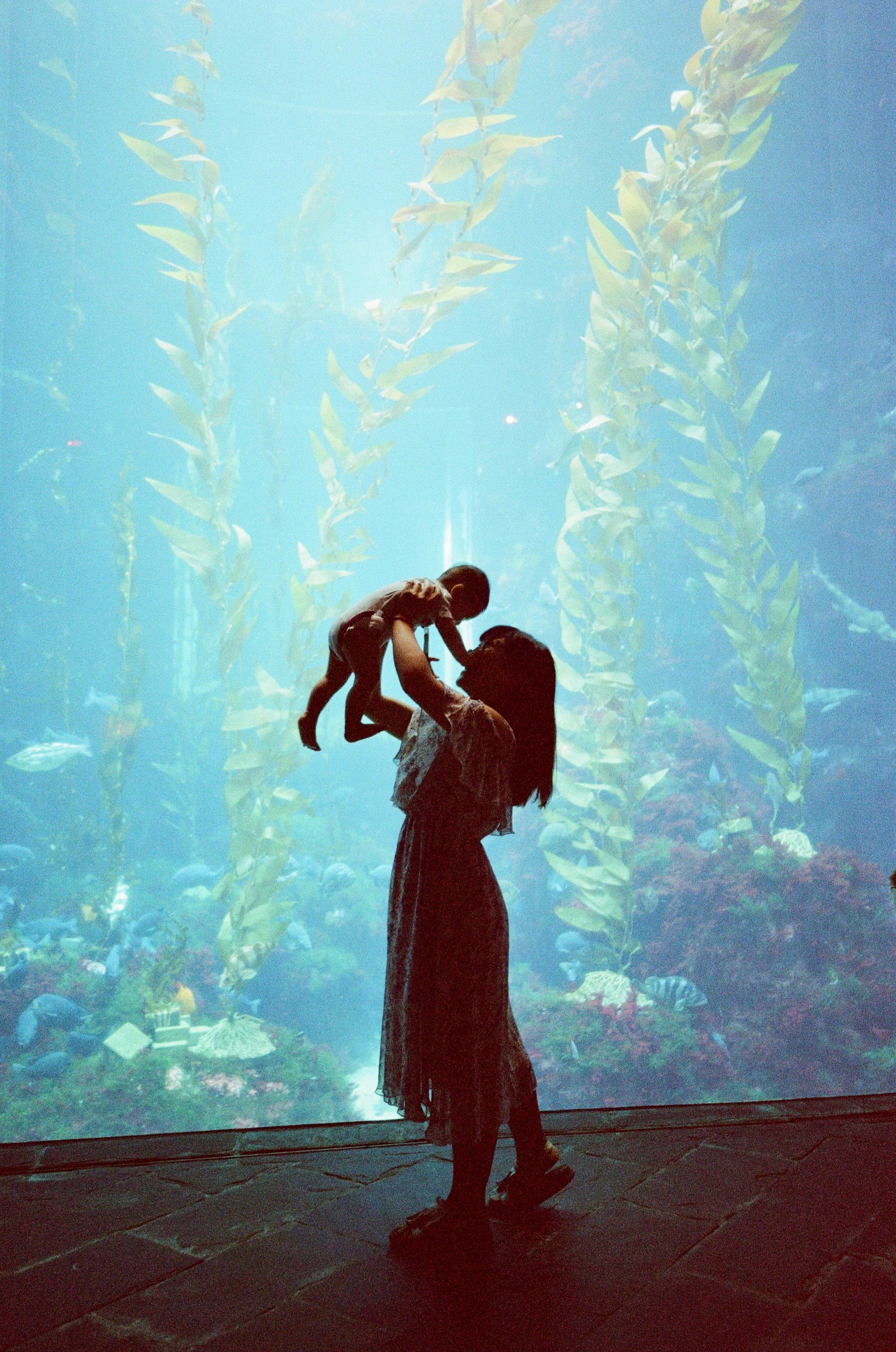 水族館の前で赤ちゃんを抱き上げる女性のシルエット 背景には海藻と魚が泳ぐ青い水