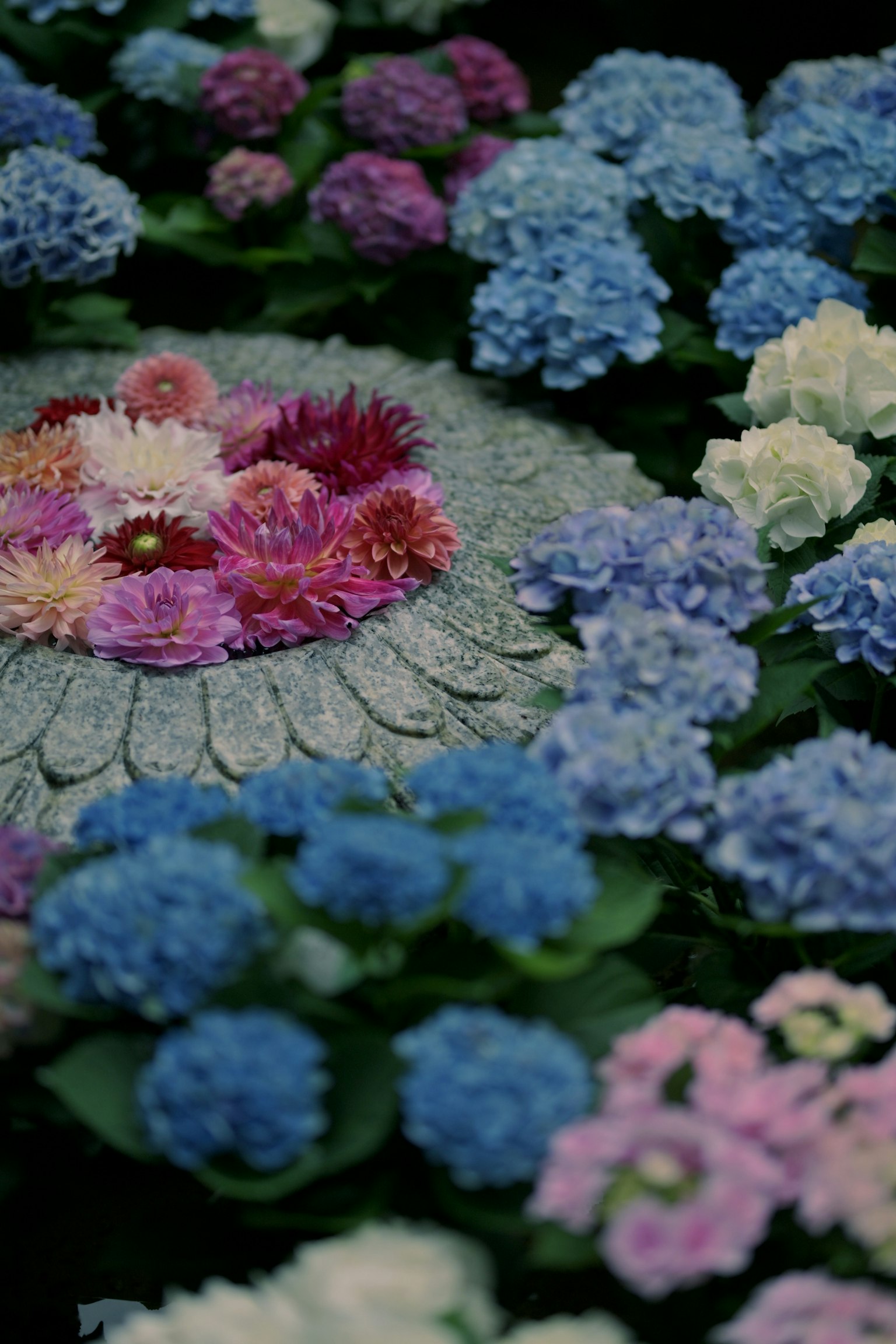 Una hermosa escena de jardín con flores coloridas en flor