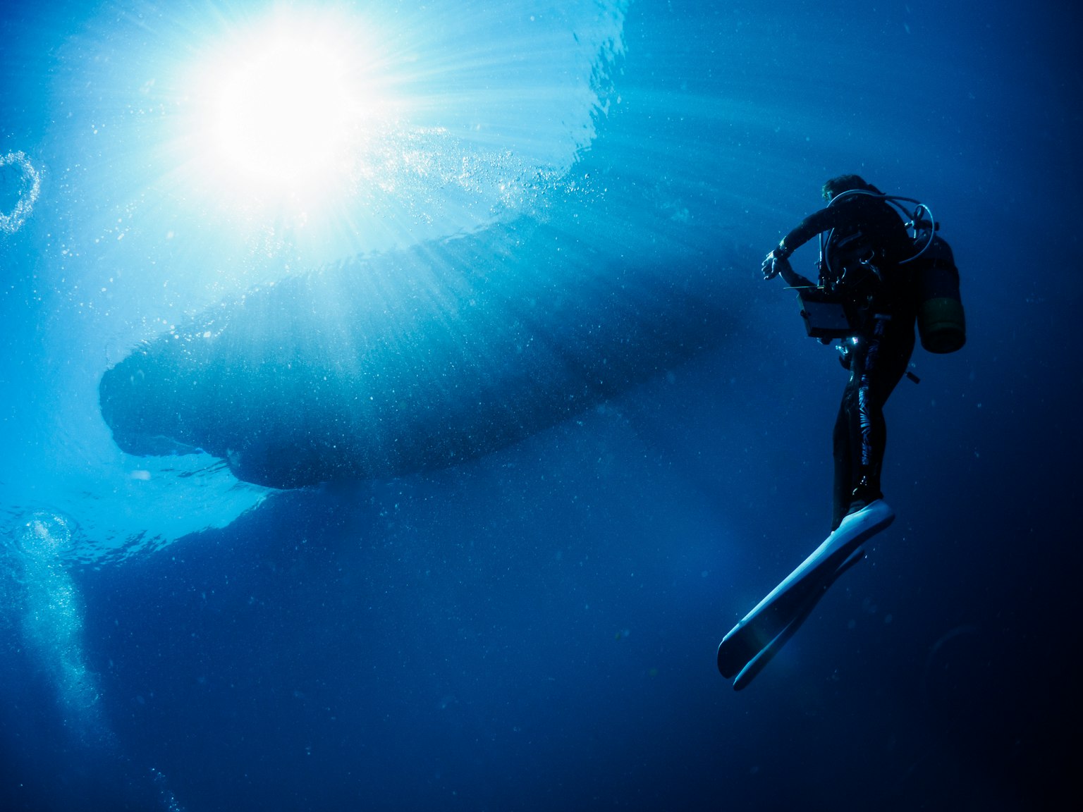 ダイバーが水中で泳いでいる光景、青い海と太陽の光が差し込むシーン