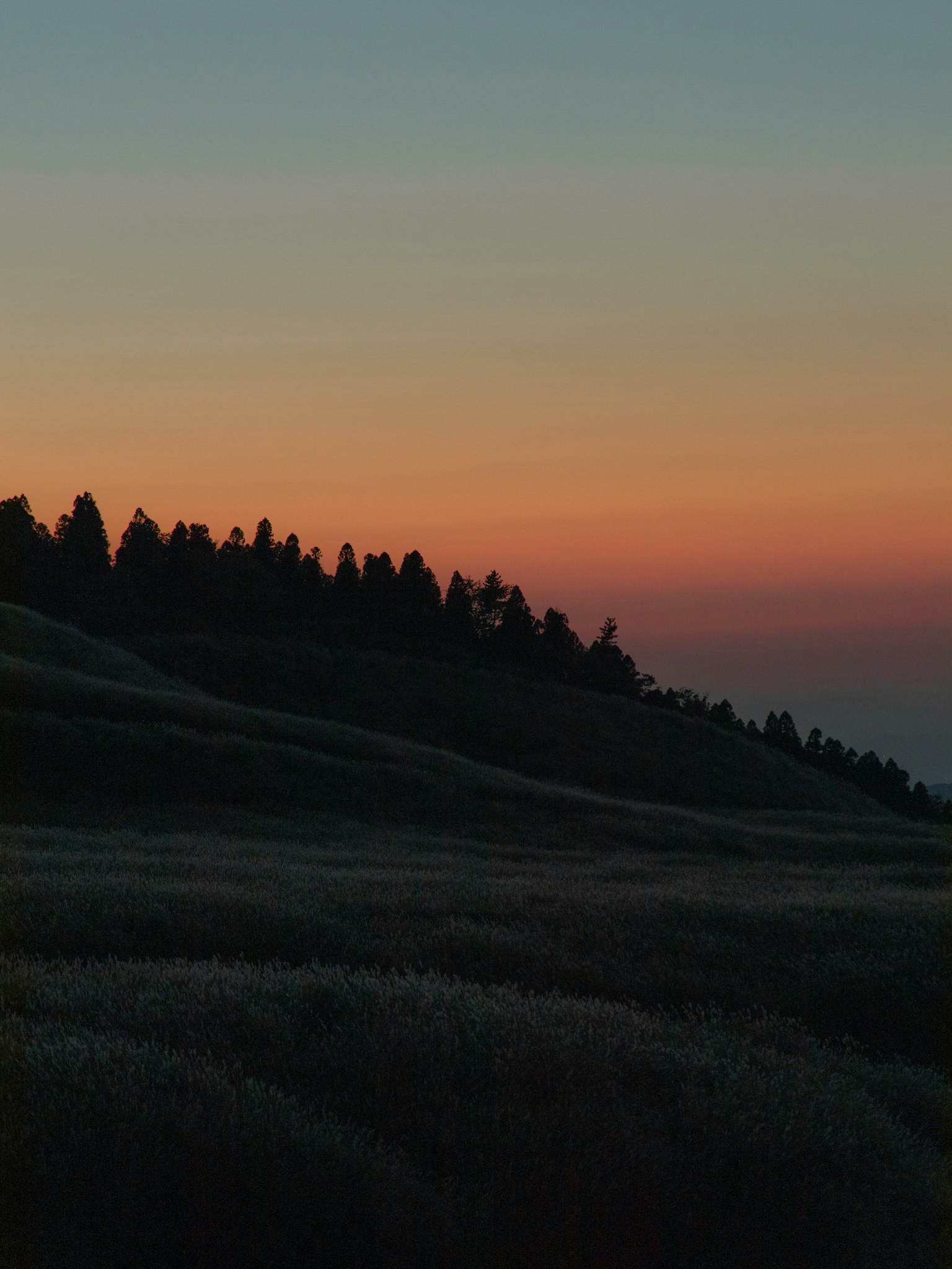 Sonnenuntergangshimmel mit silhouettierten Hügeln und Bäumen