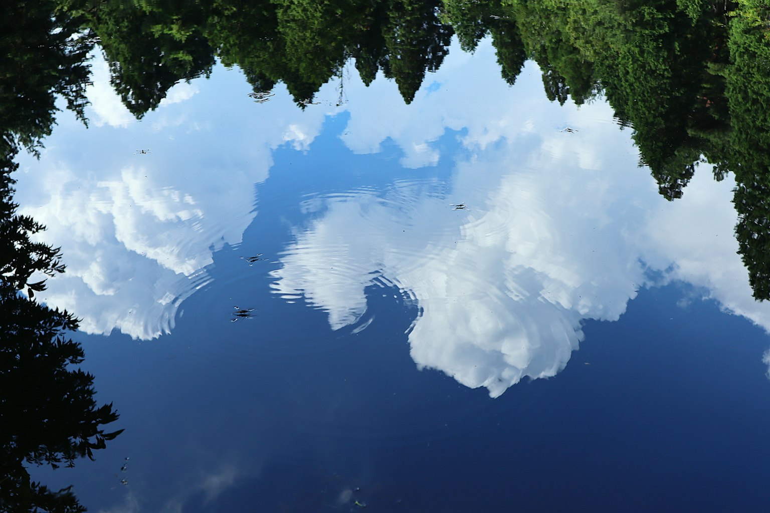 Un lago sereno que refleja un cielo azul y nubes blancas esponjosas