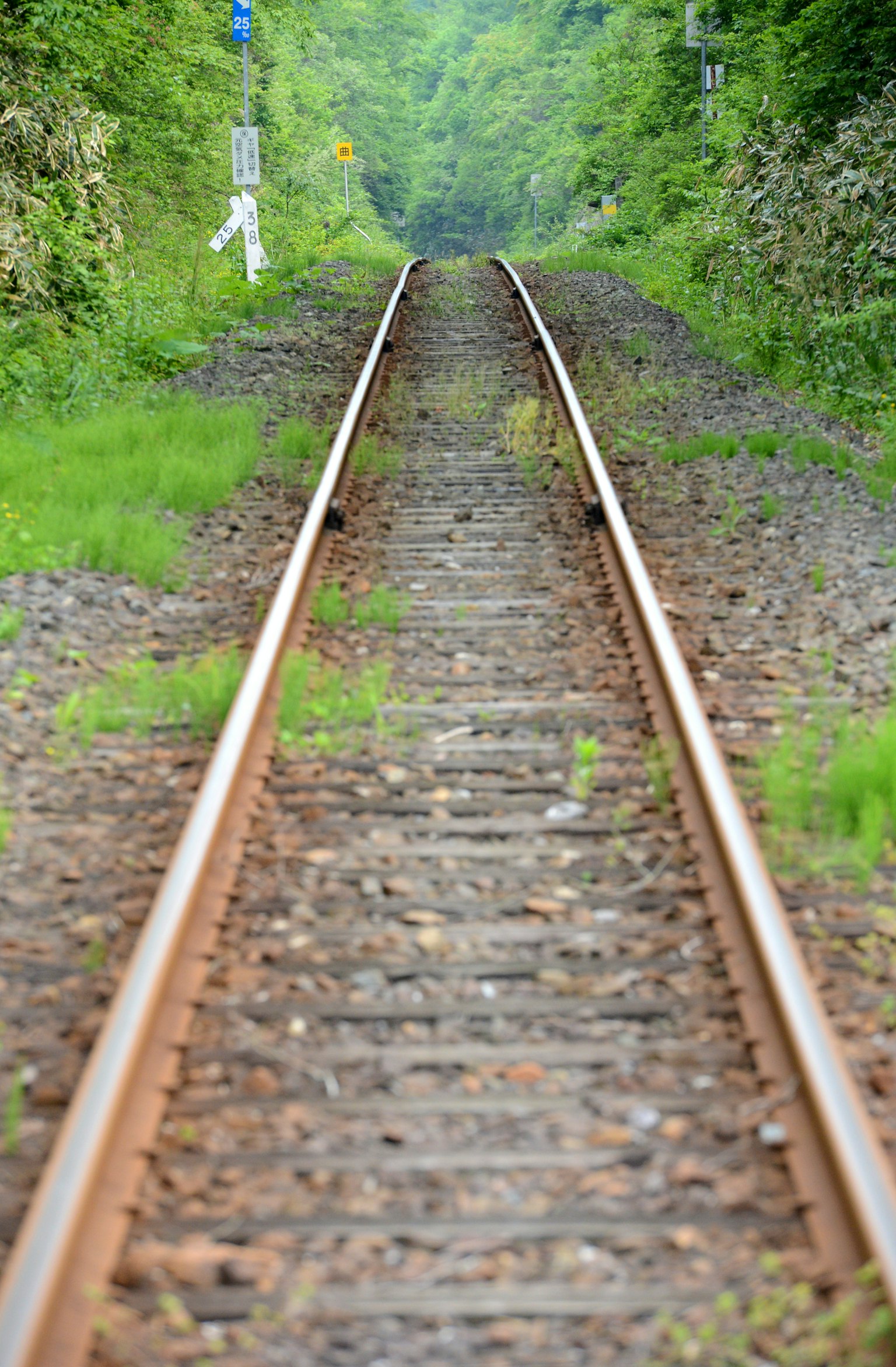 A railway track surrounded by greenery stretching into the distance
