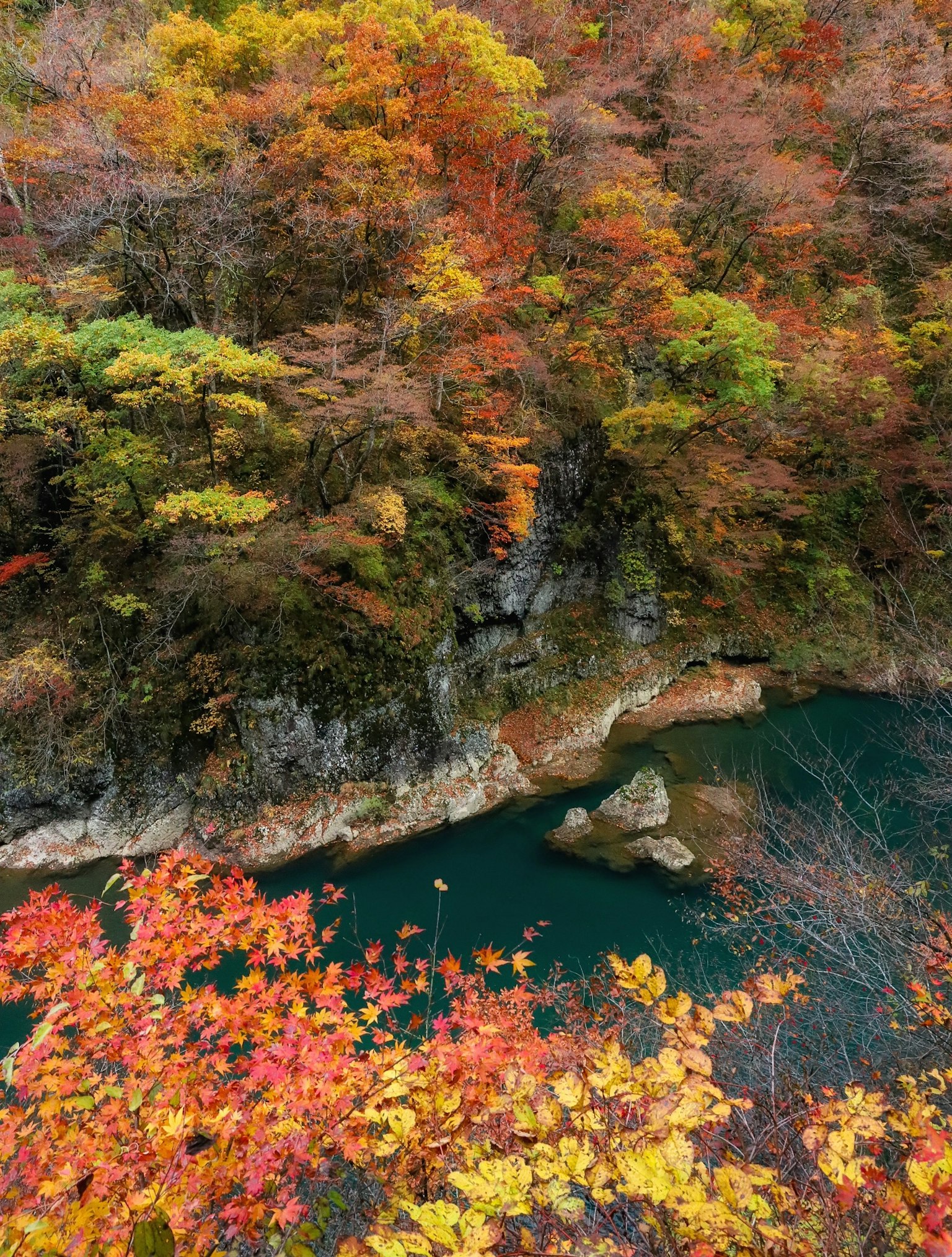 Hermoso paisaje de otoño follaje vibrante y río verde