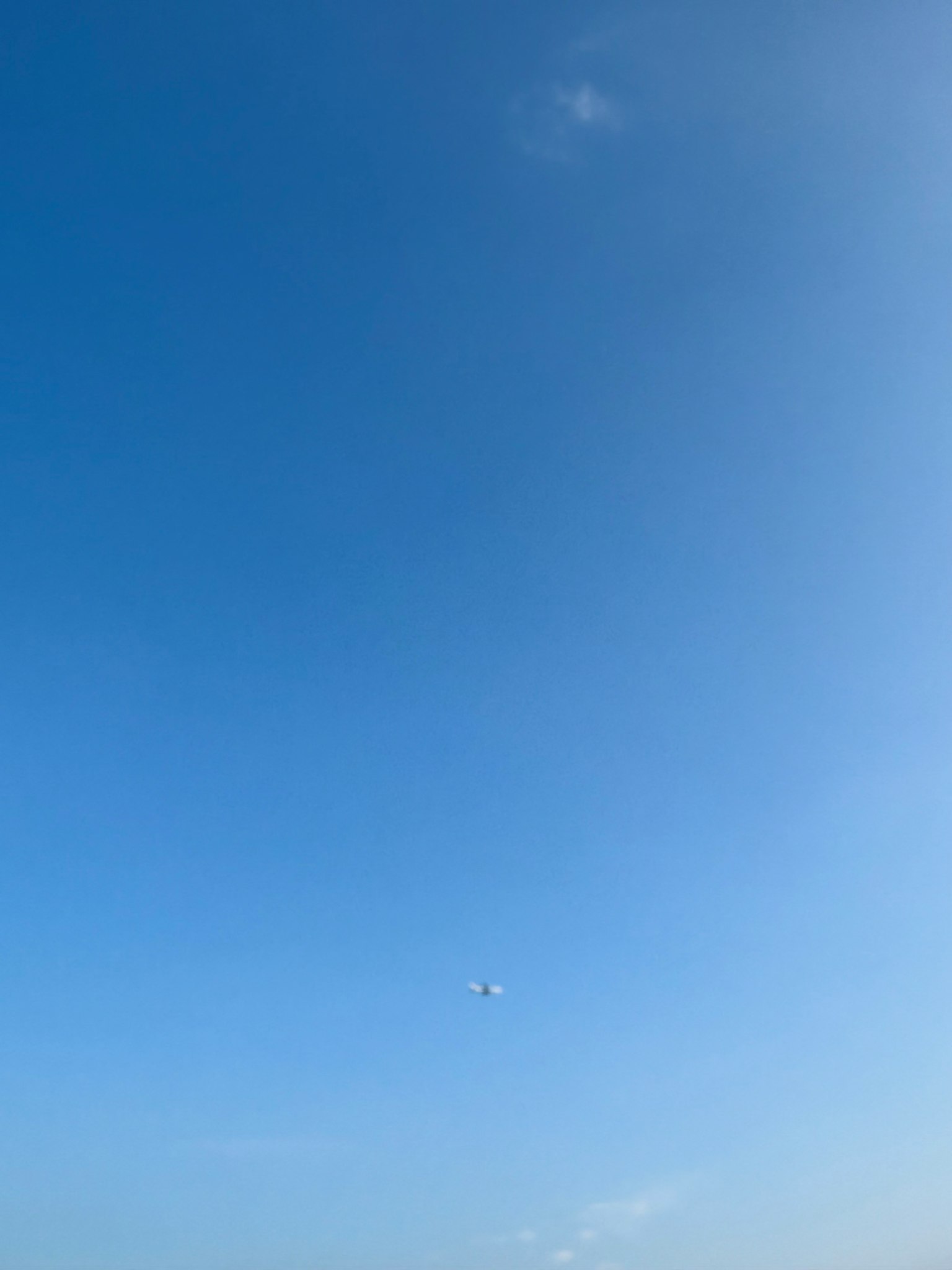 Small white object in a clear blue sky