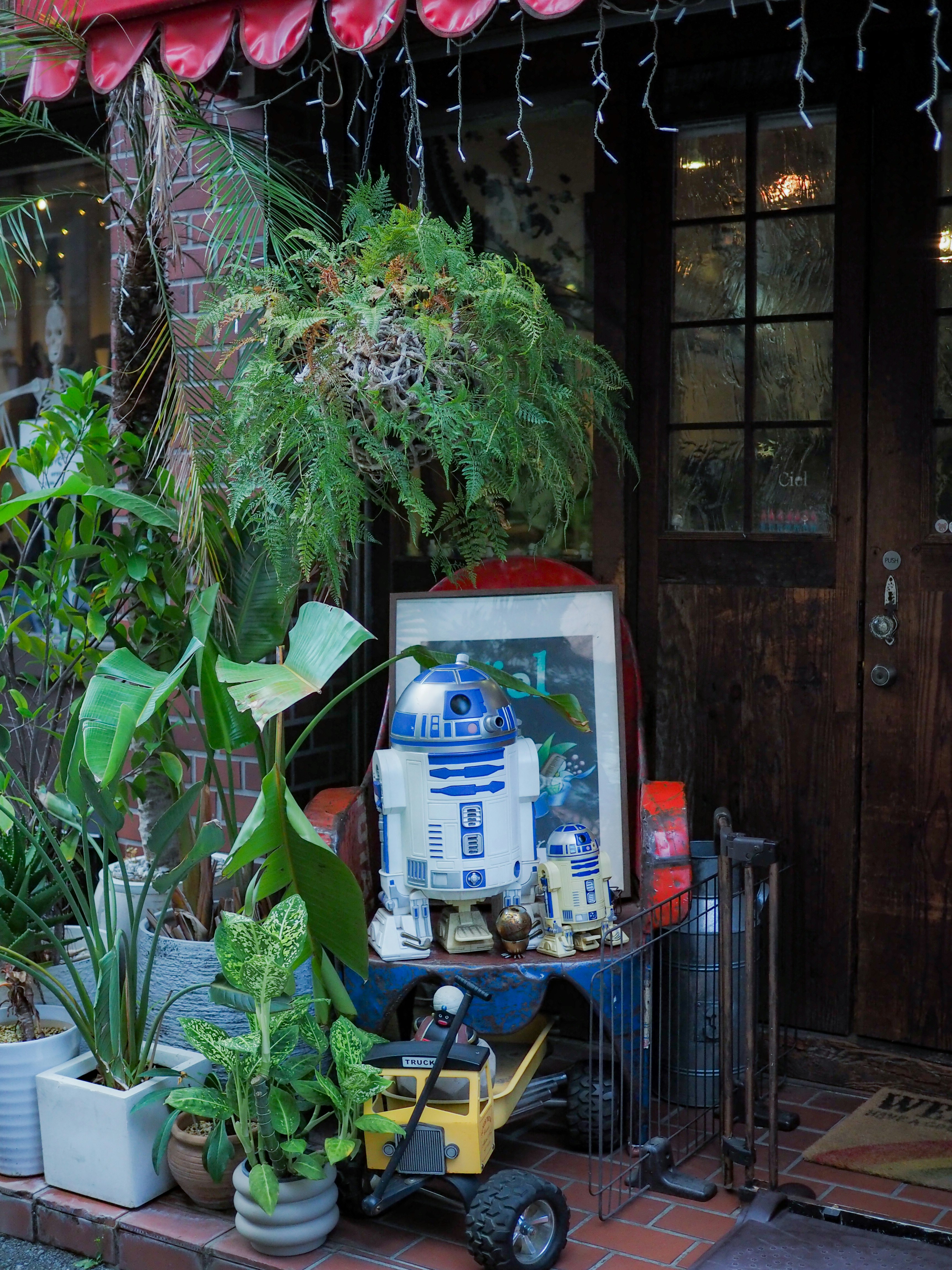 鉢植えとR2-D2風の置物が並ぶ玄関先