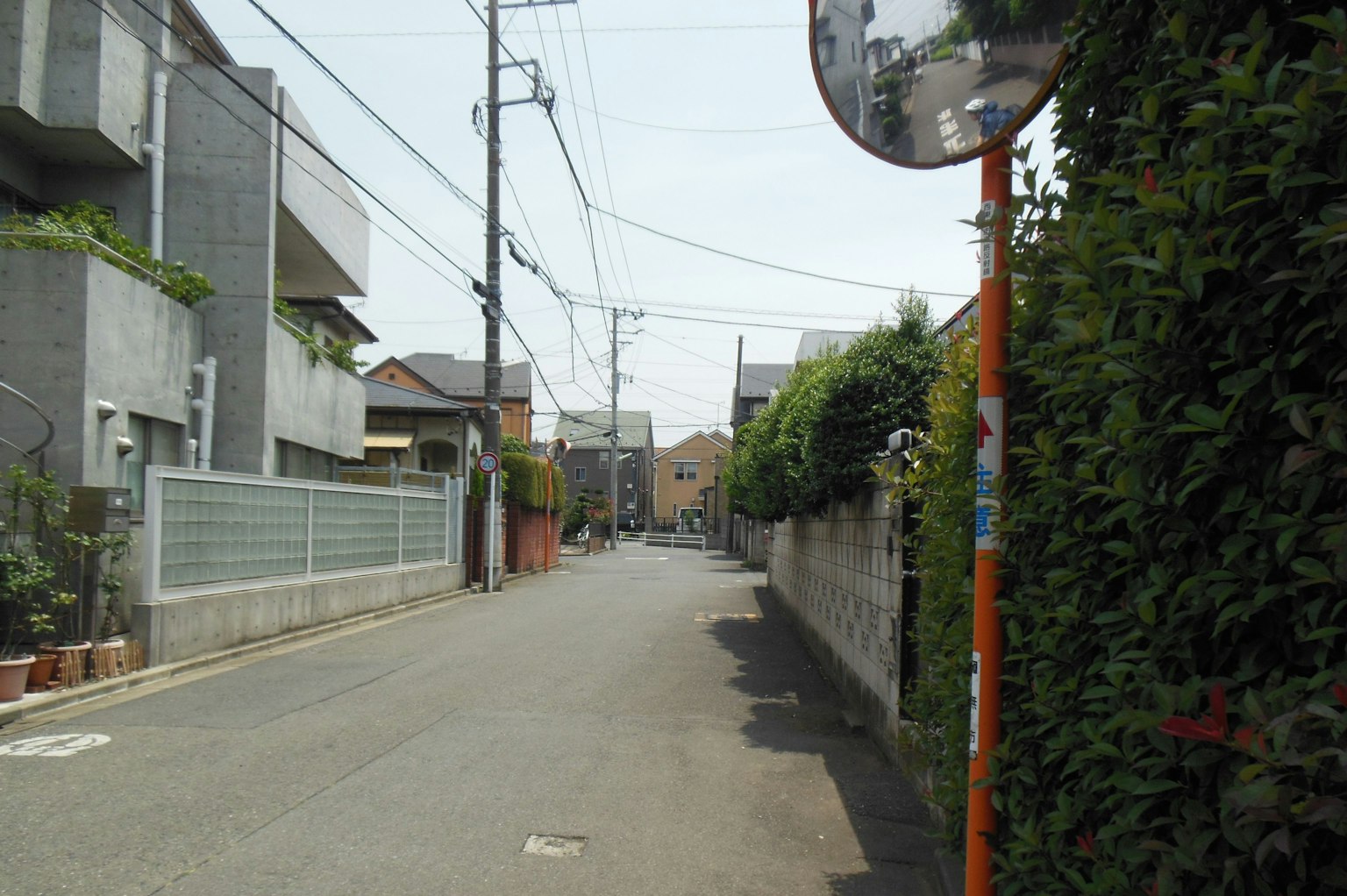 Quiet residential street with green hedges and utility poles