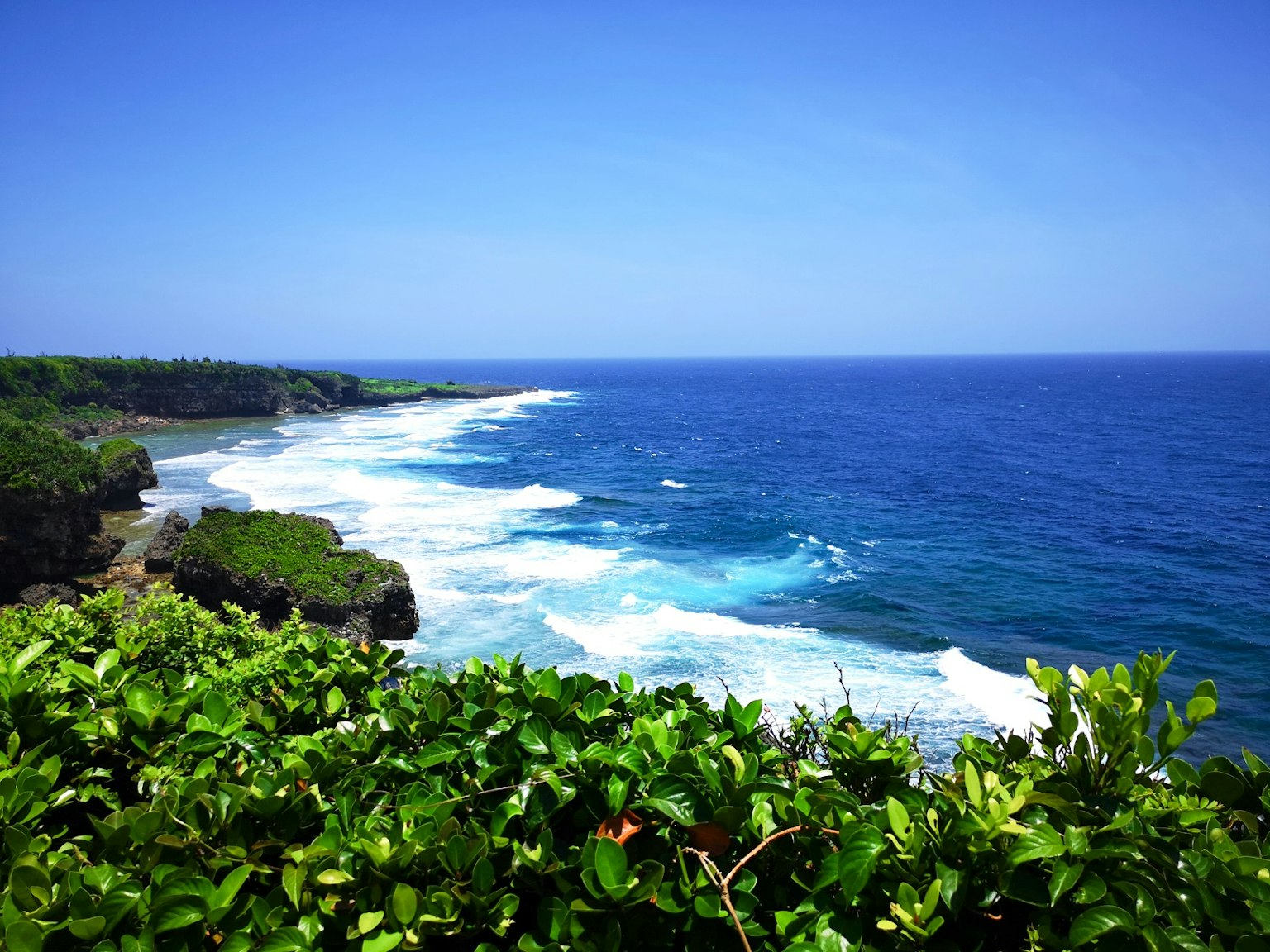 Hermoso paisaje costero con océano azul y vegetación verde