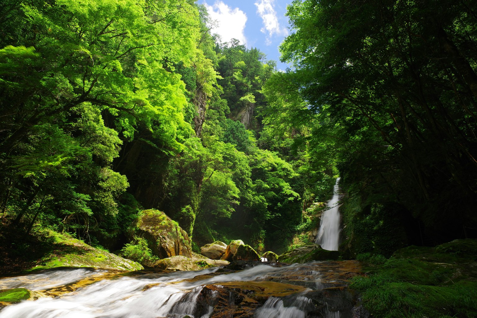Üppiger grüner Wald mit einem Wasserfall und blauem Himmel