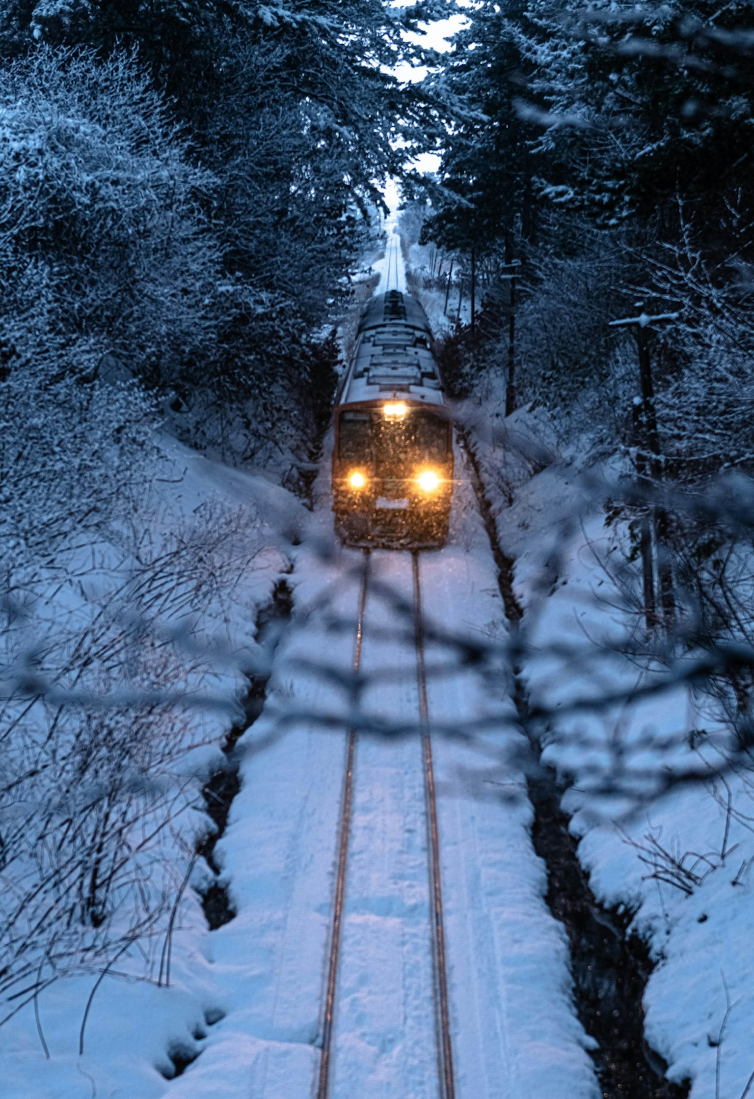 Treno che viaggia su binari coperti di neve circondato da alberi