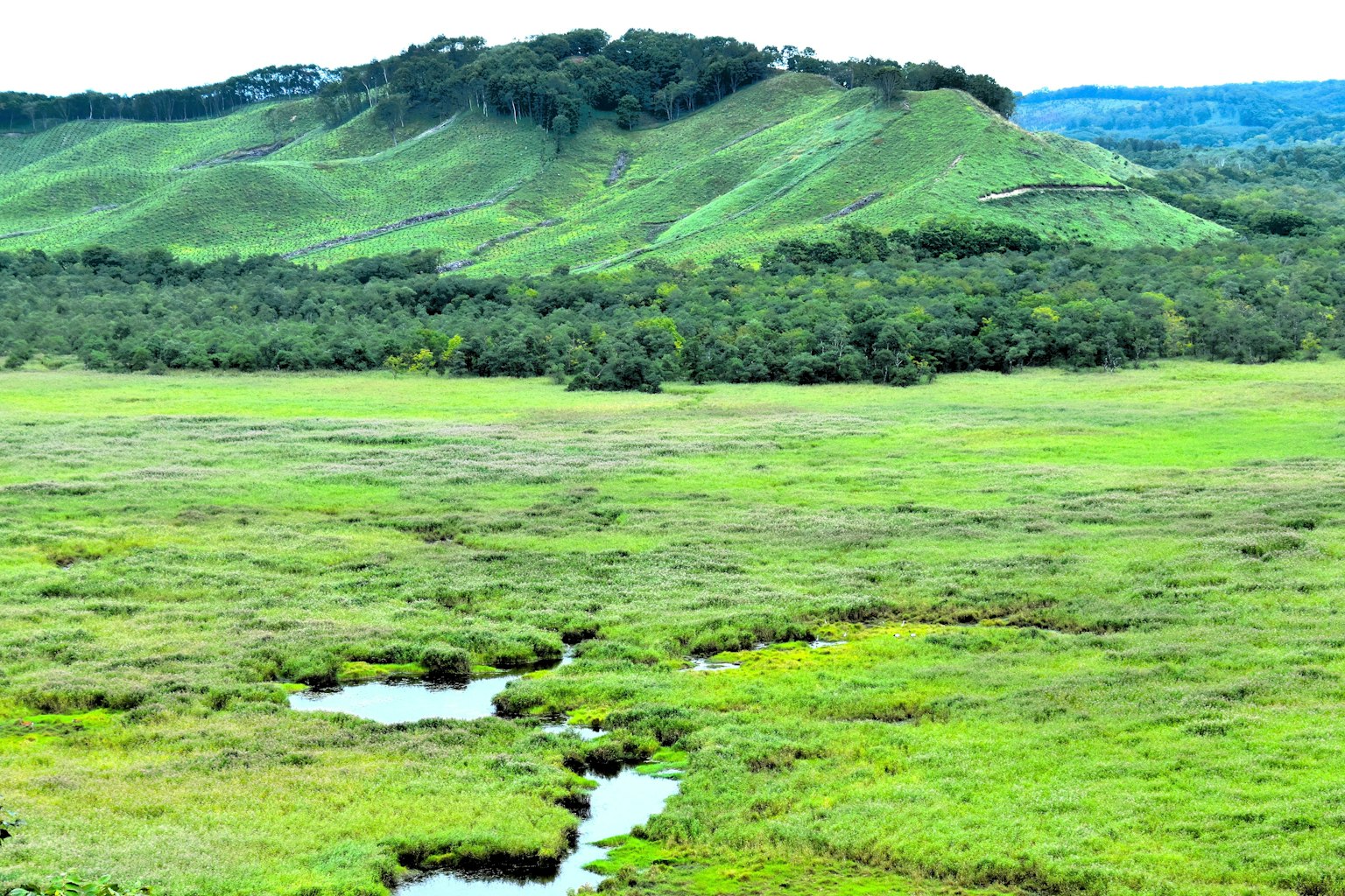 Paesaggio di colline verdi e zone umide